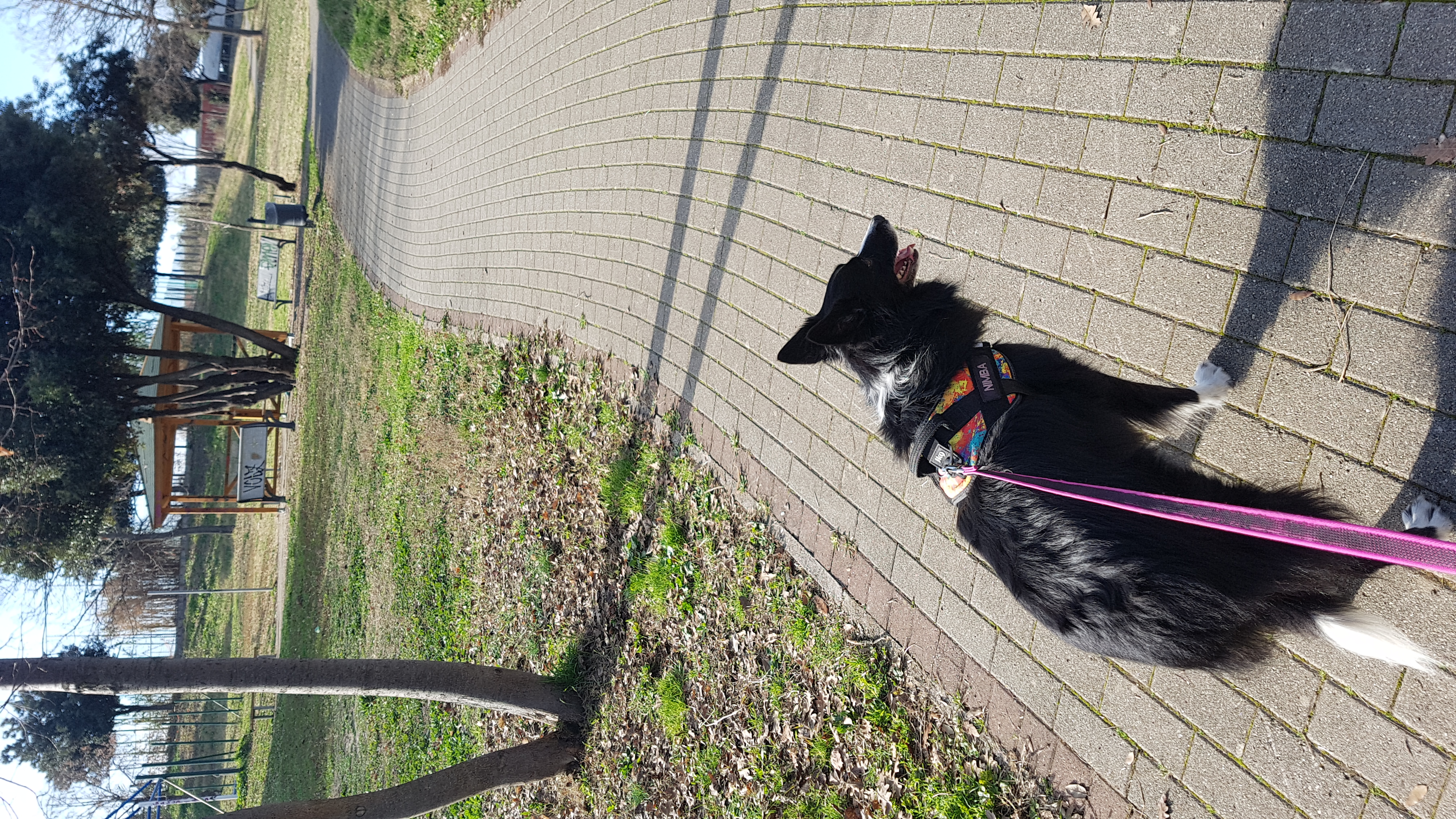 image-9