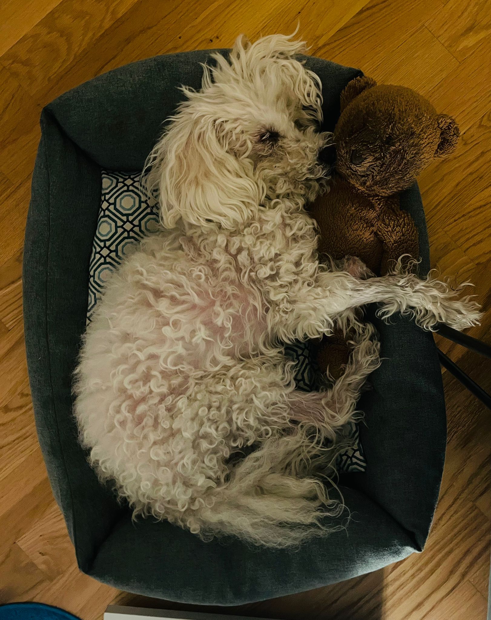 image-8