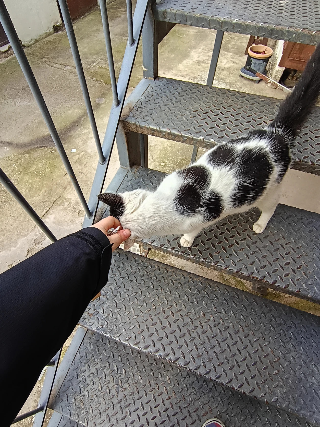 image-7