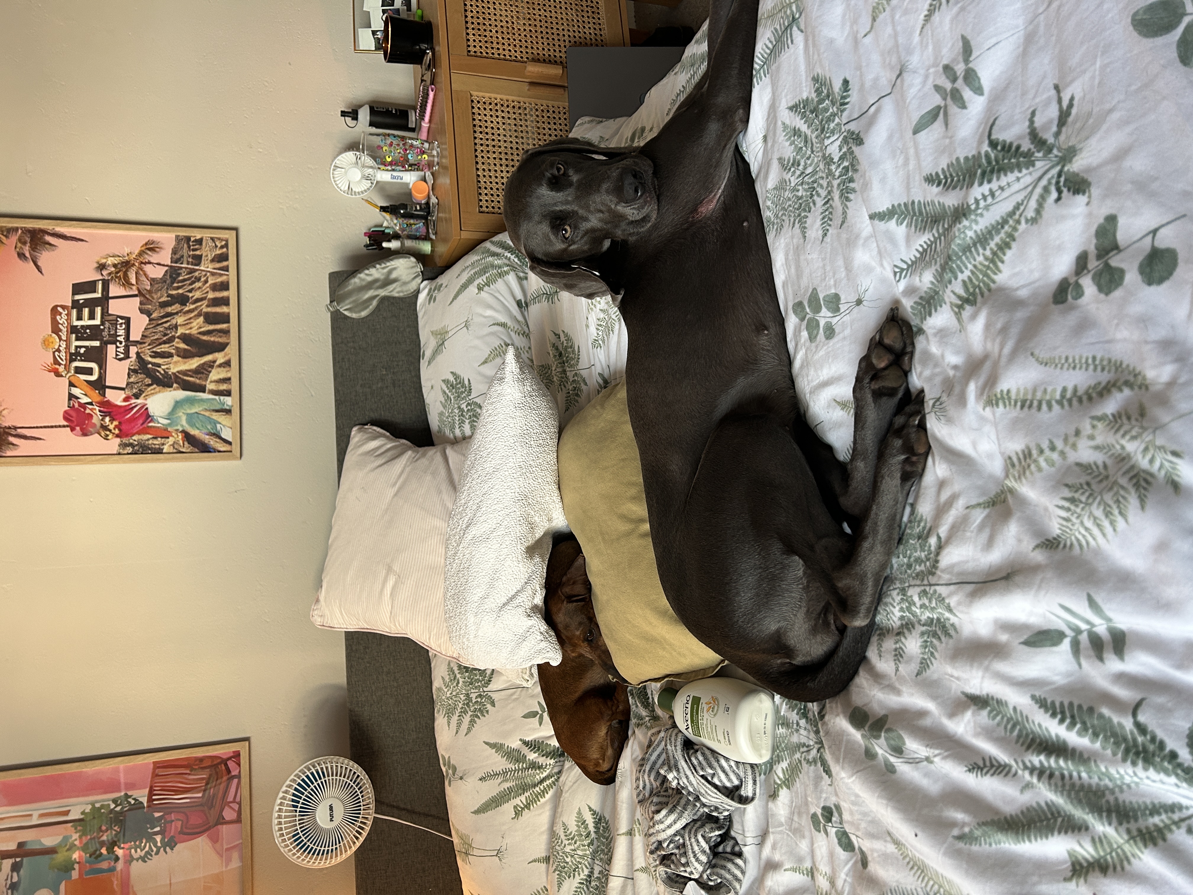 image-16