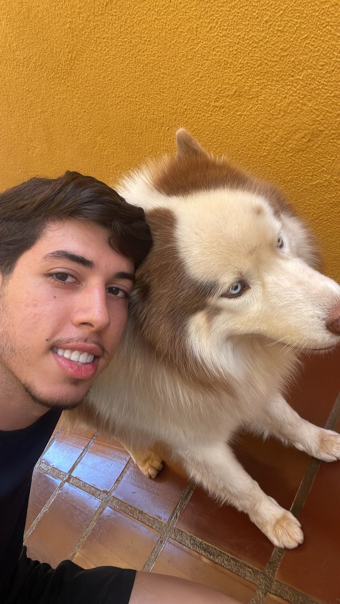 image-6