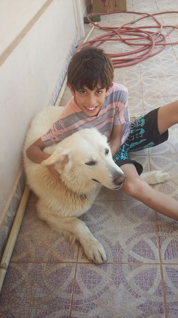 image-5