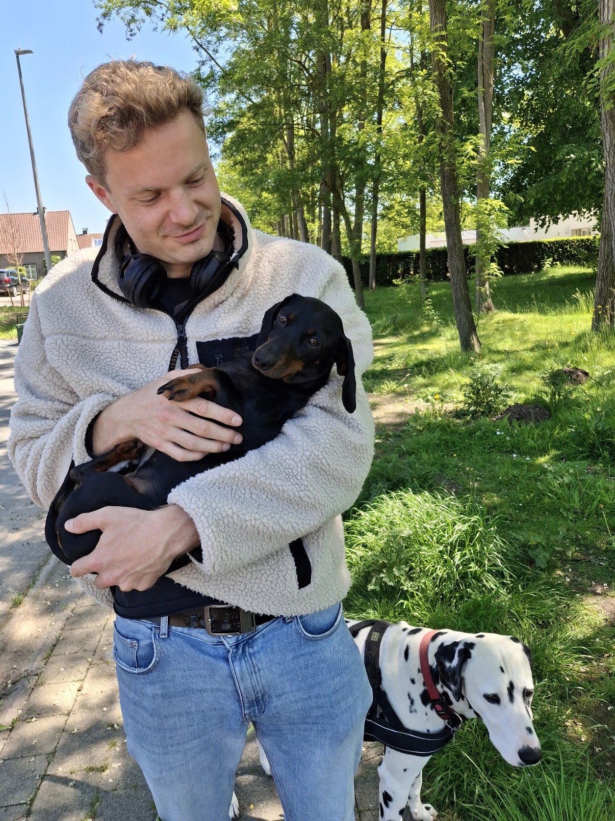 image-11