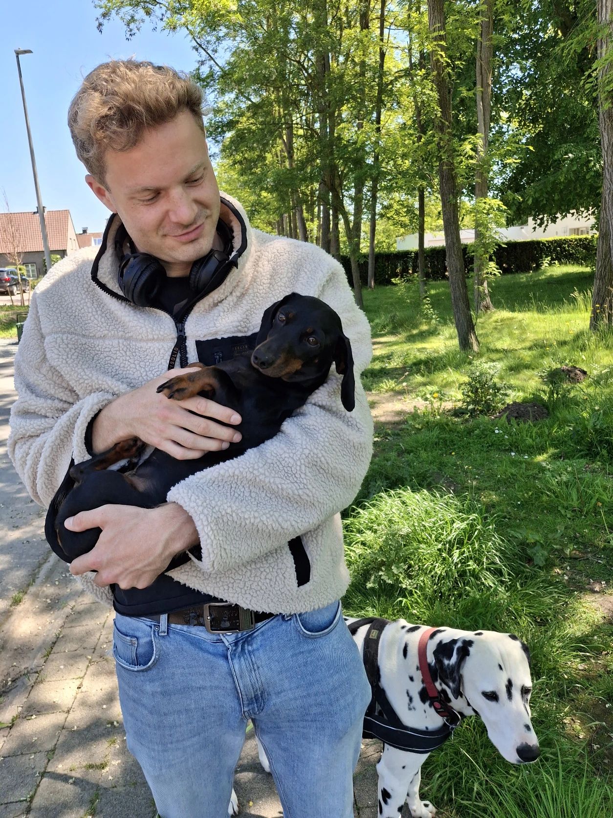 image-11