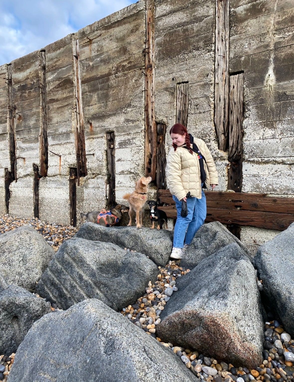 image-6