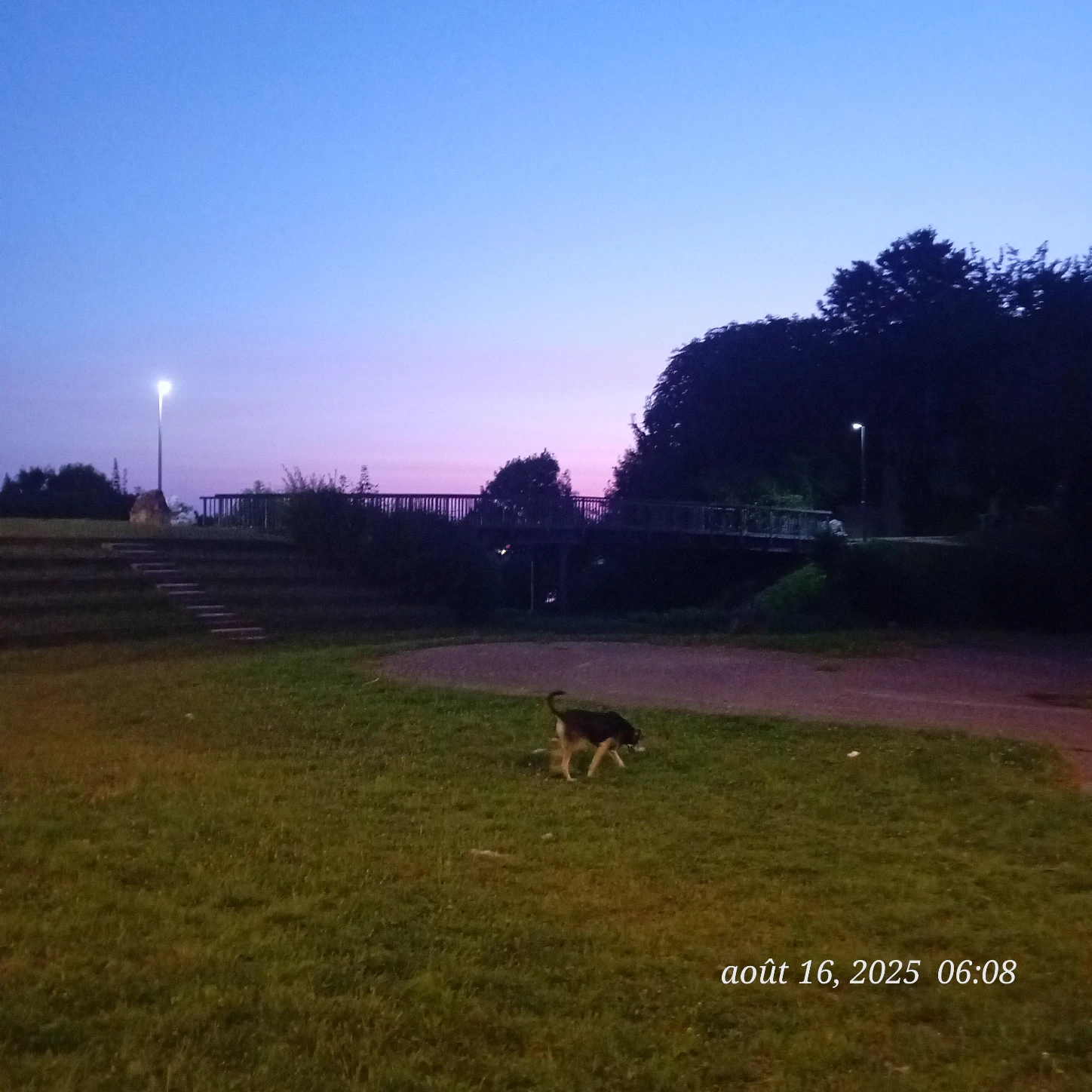 image-16