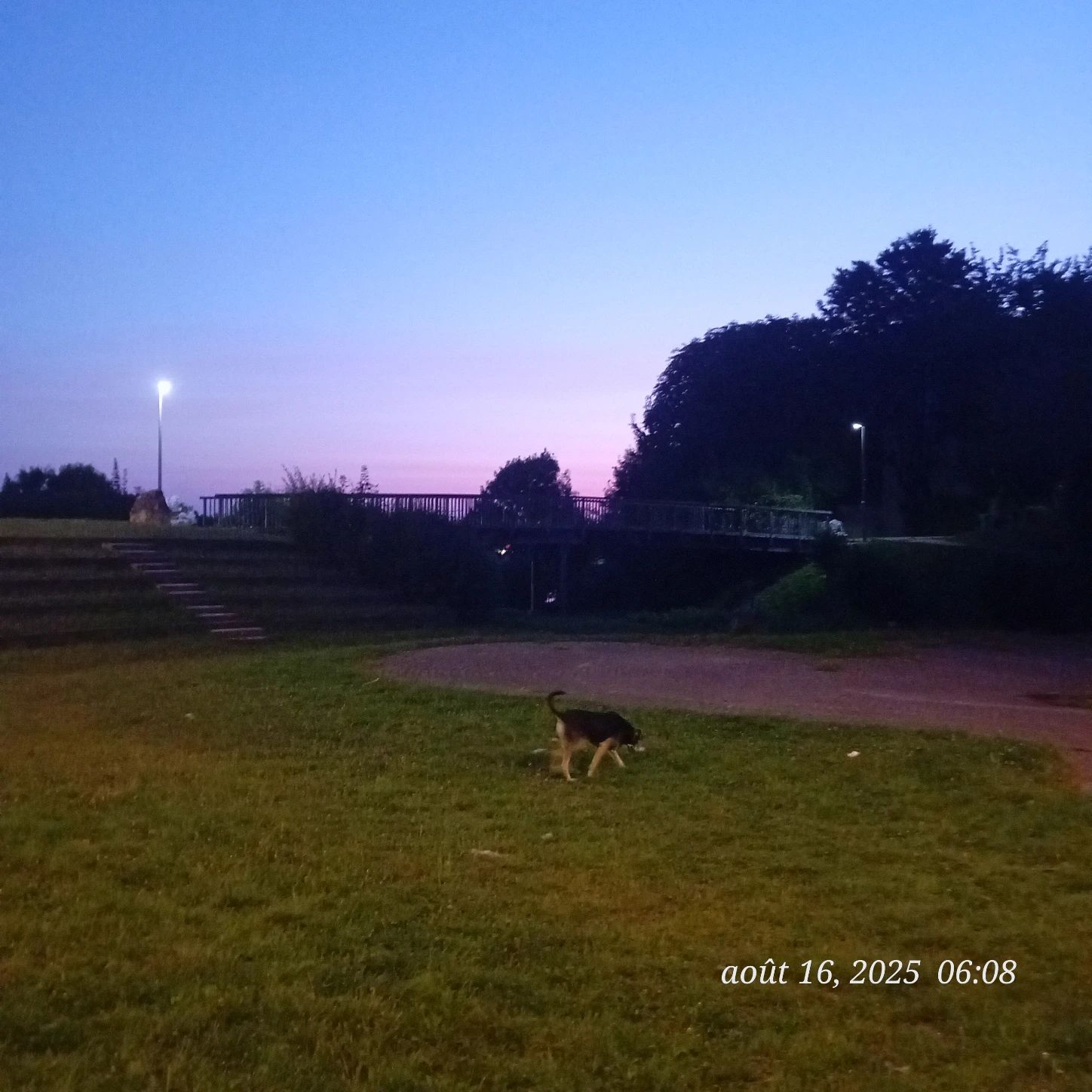 image-16