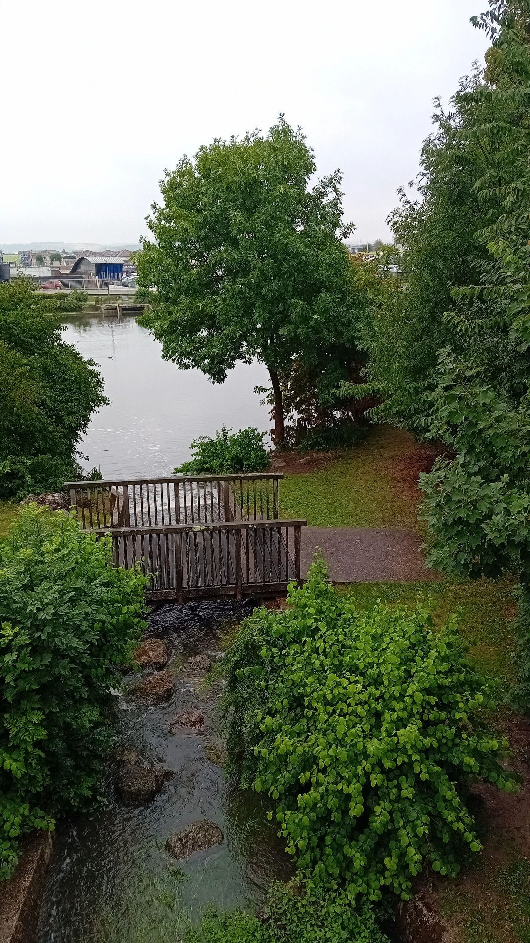 image-22
