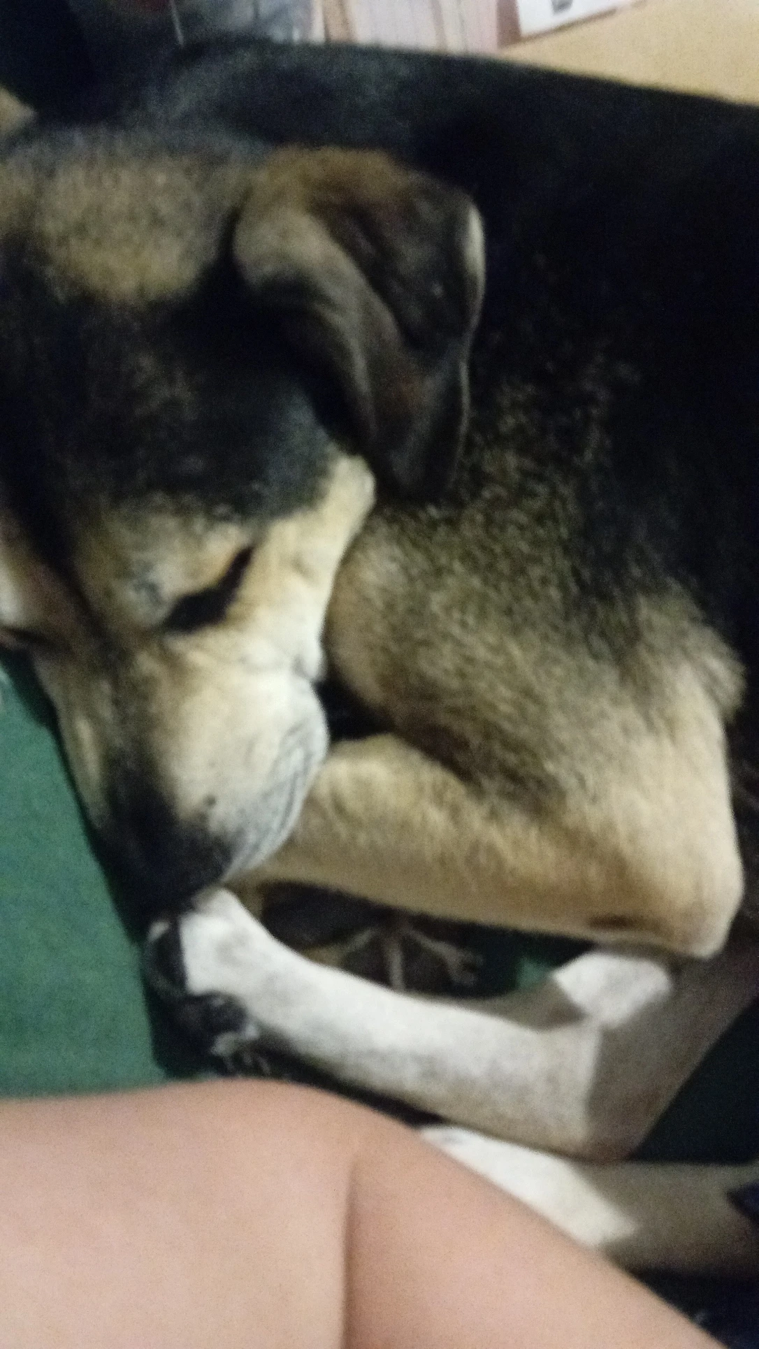 image-5