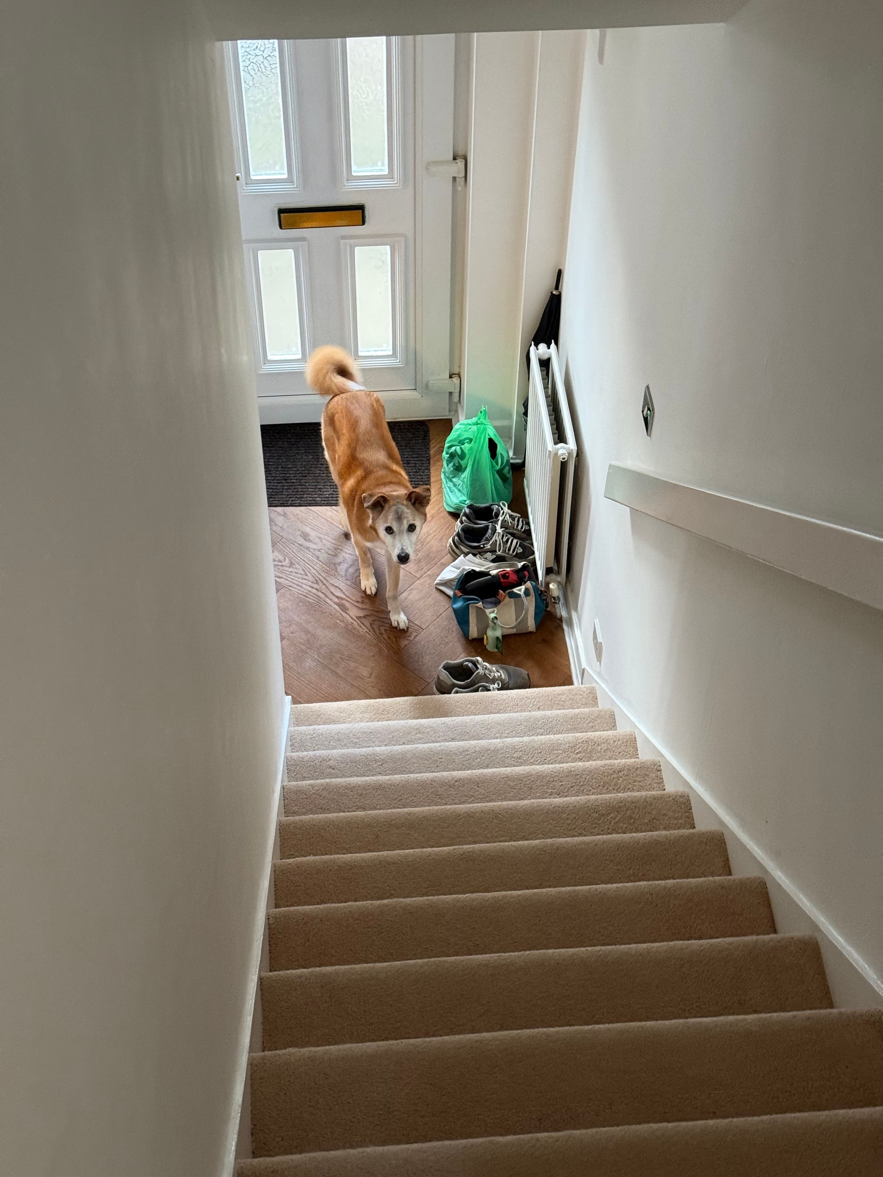 image-9