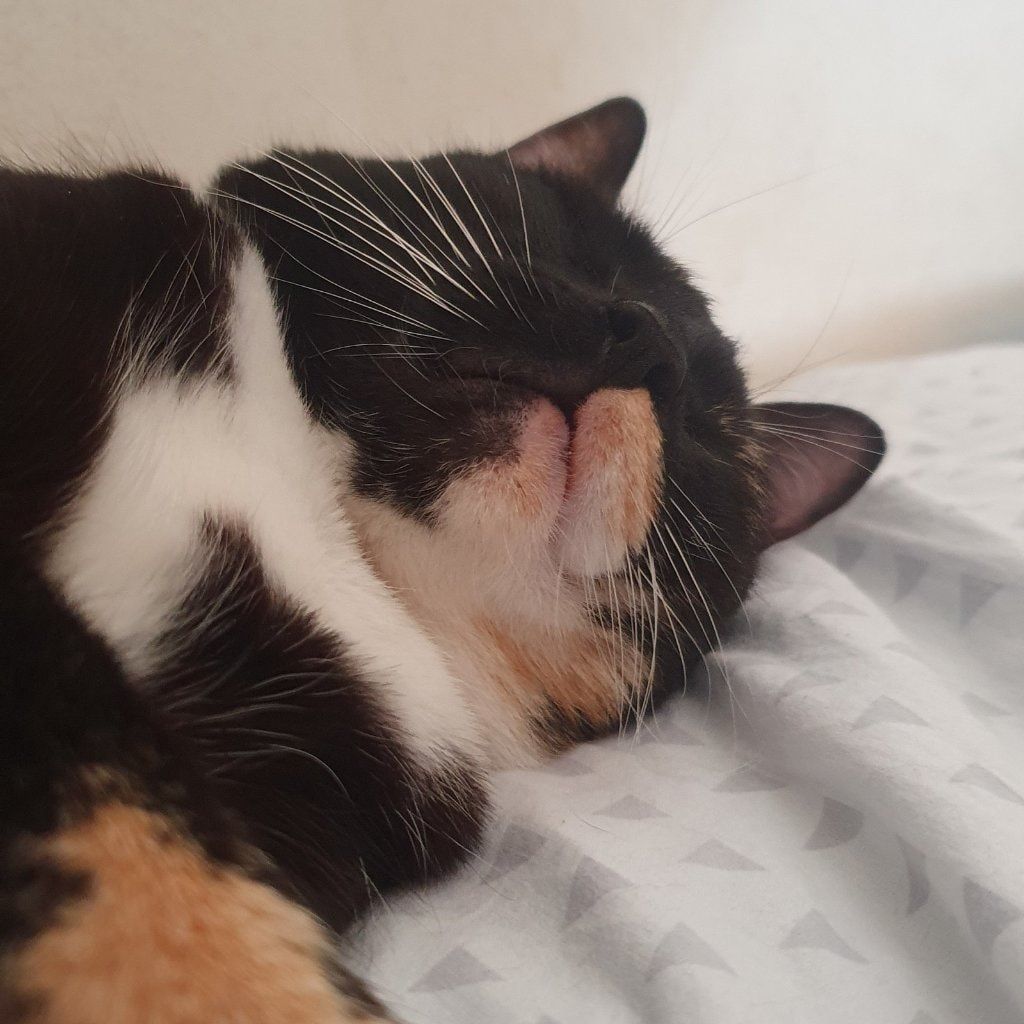 Bambina