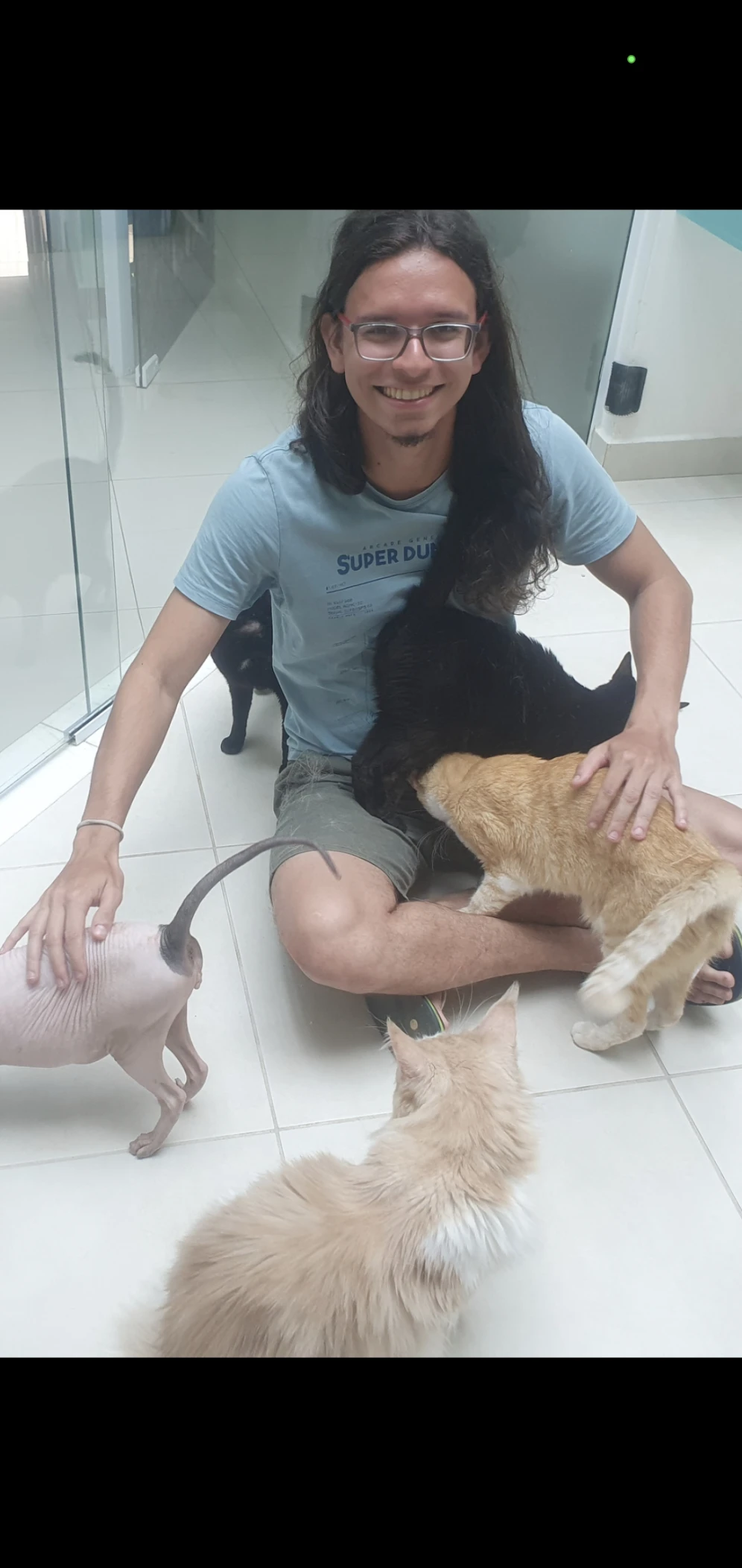 image-7