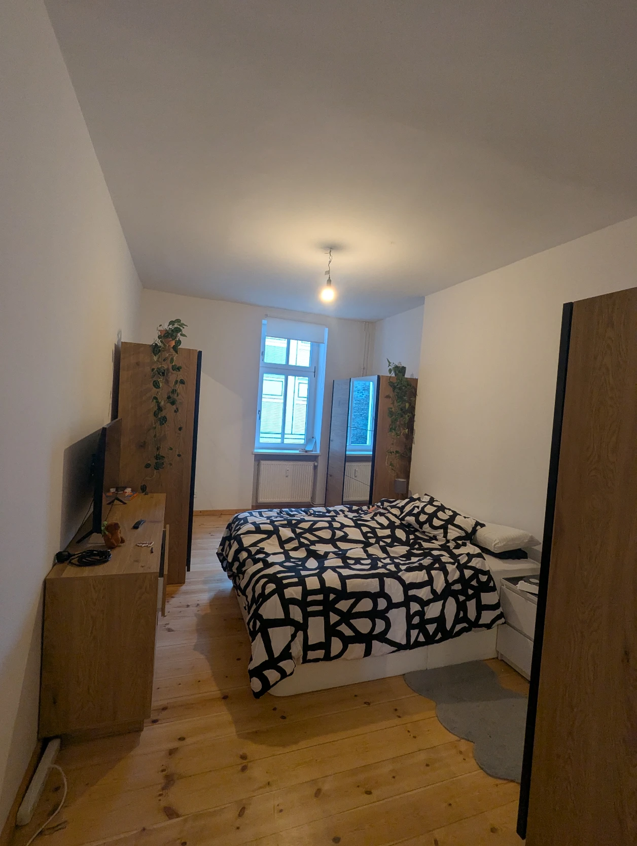 image-20