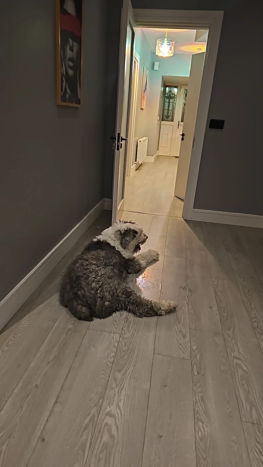 image-14