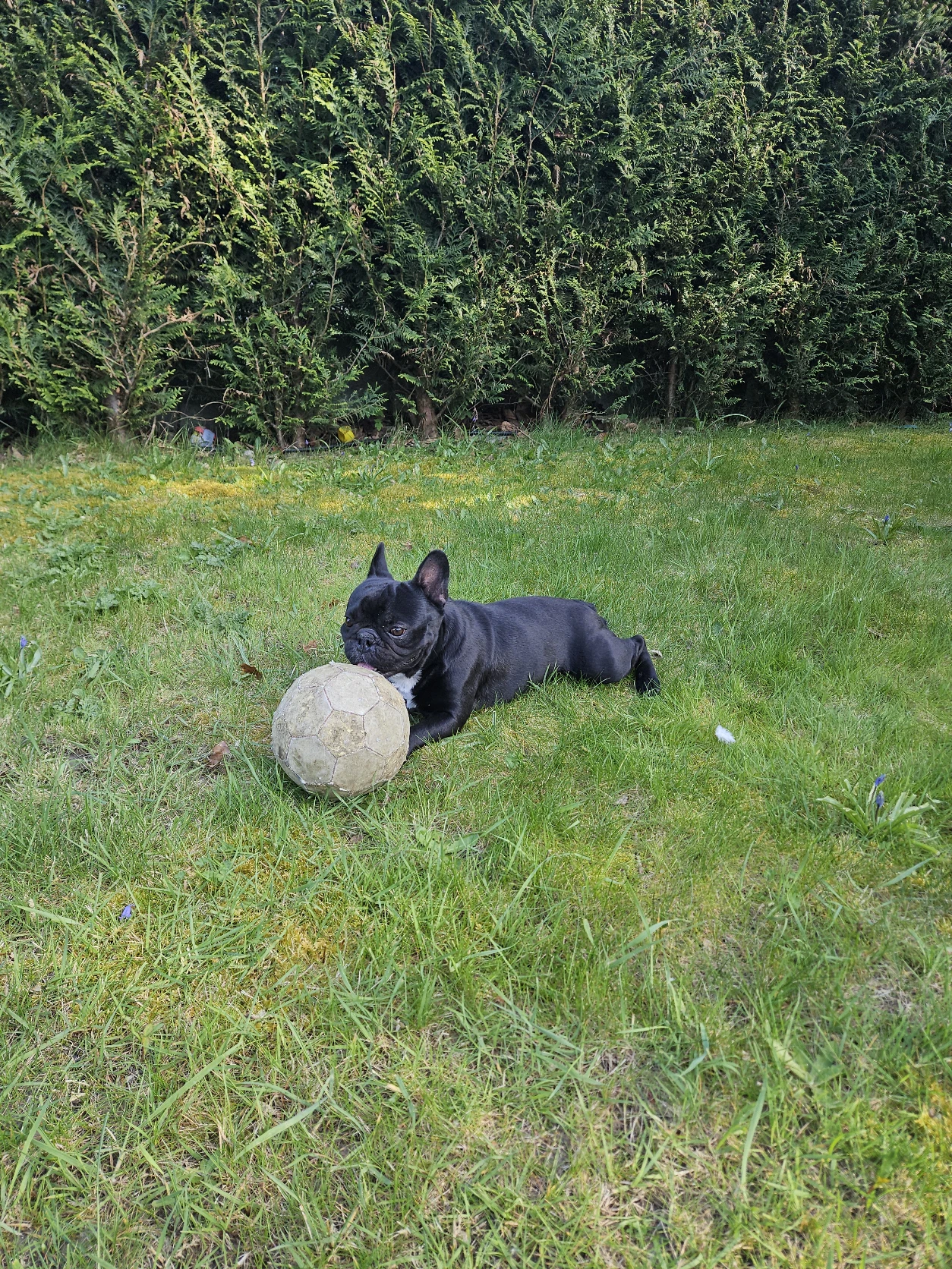 image-11
