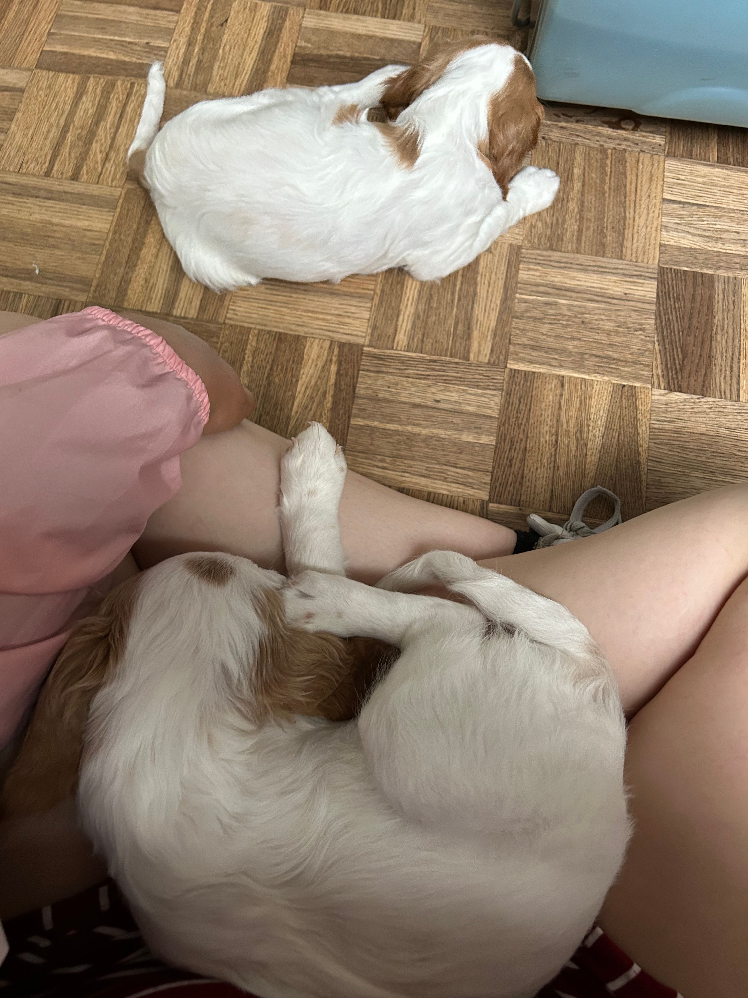 image-10