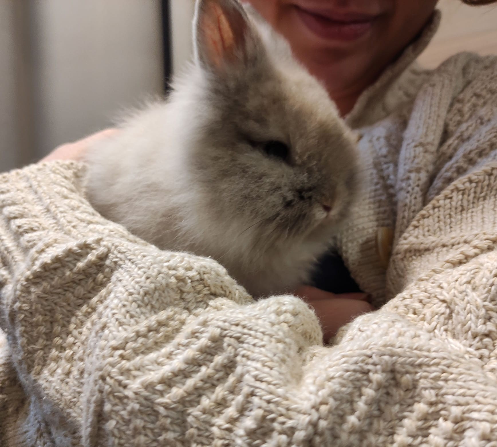 image-8