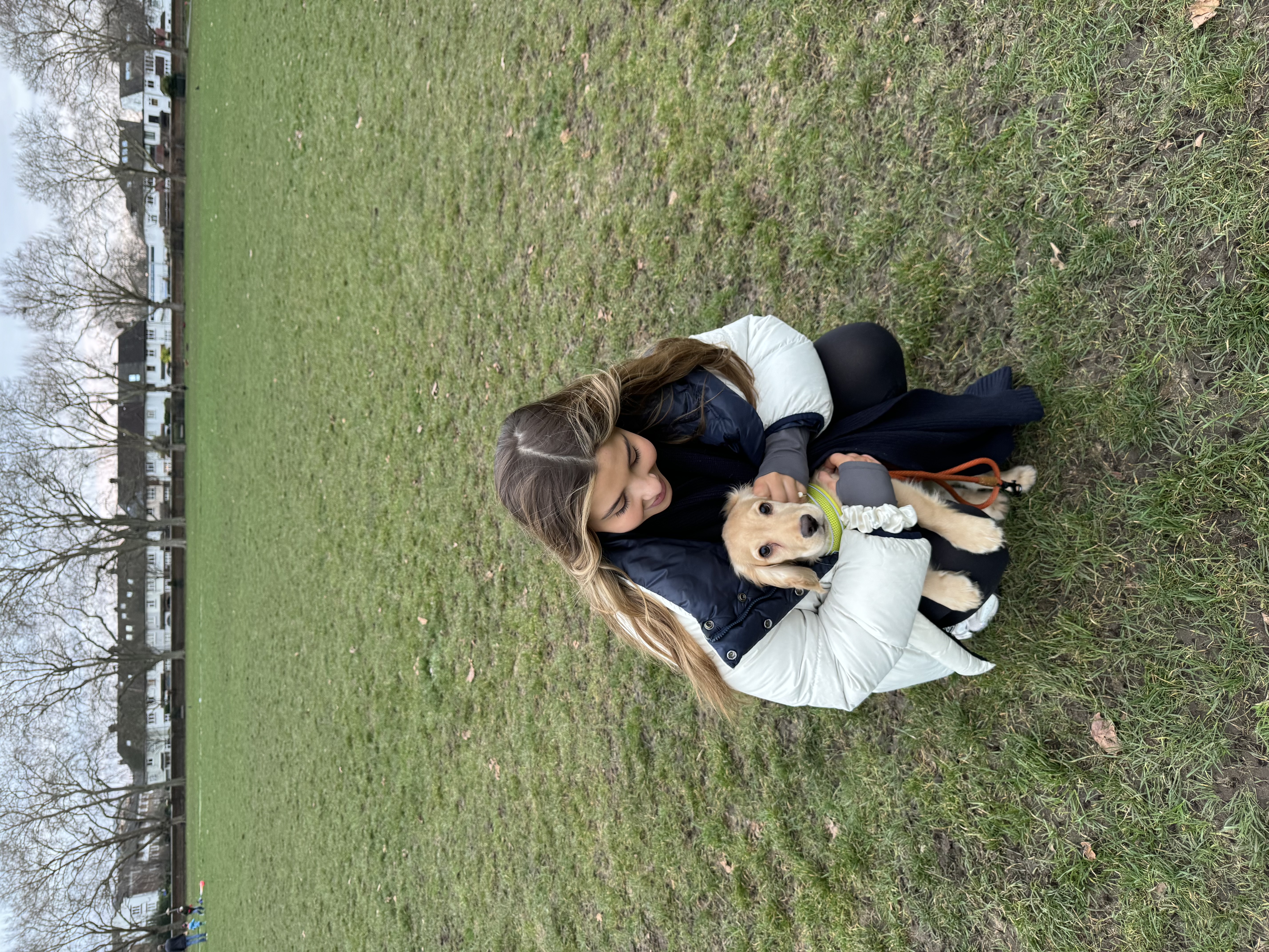 image-0