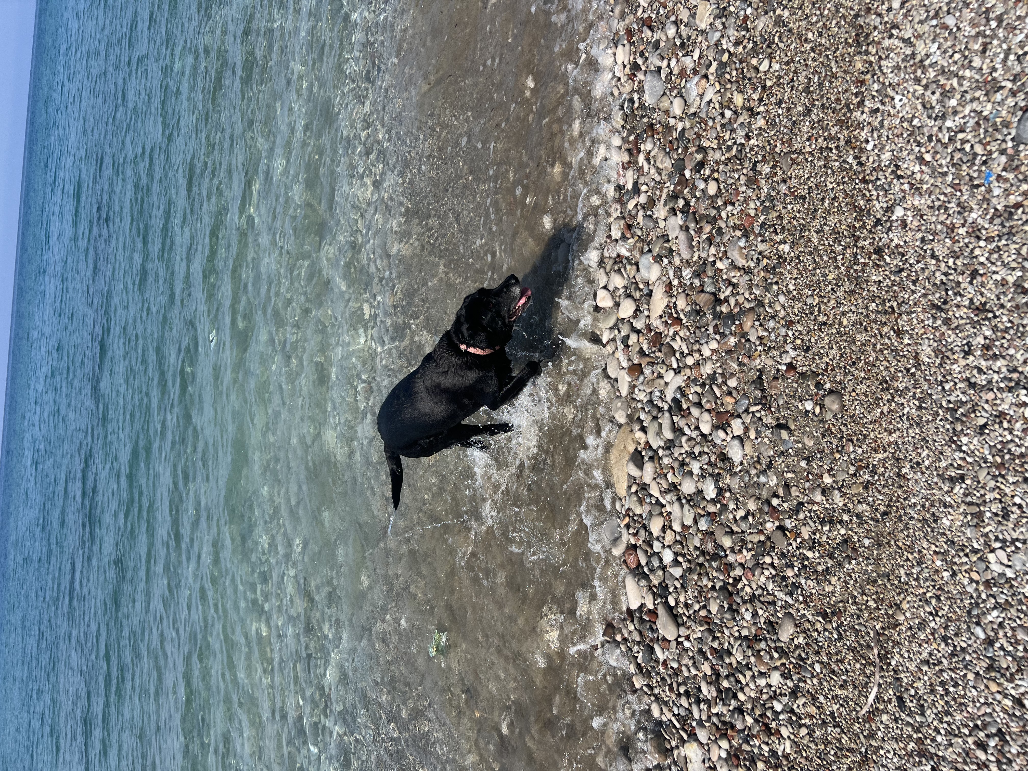 image-9