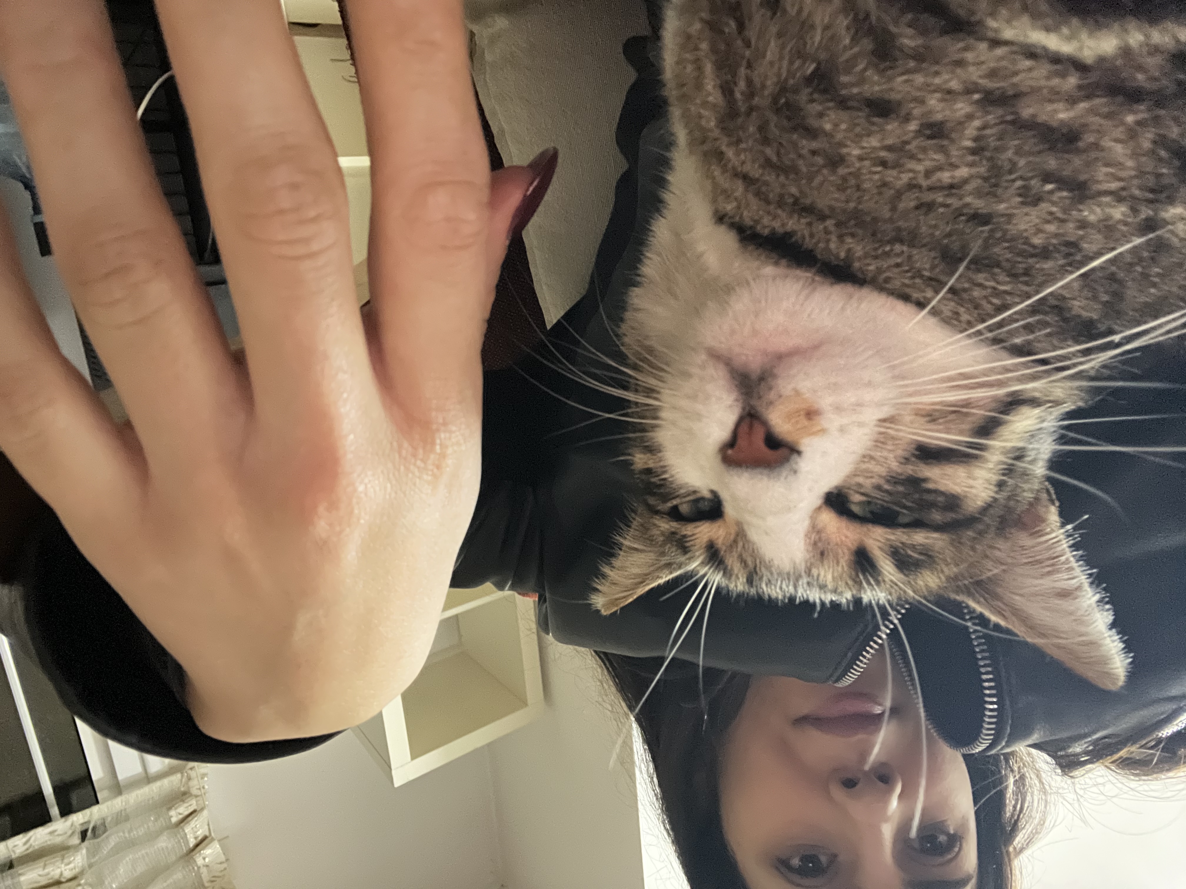 image-6