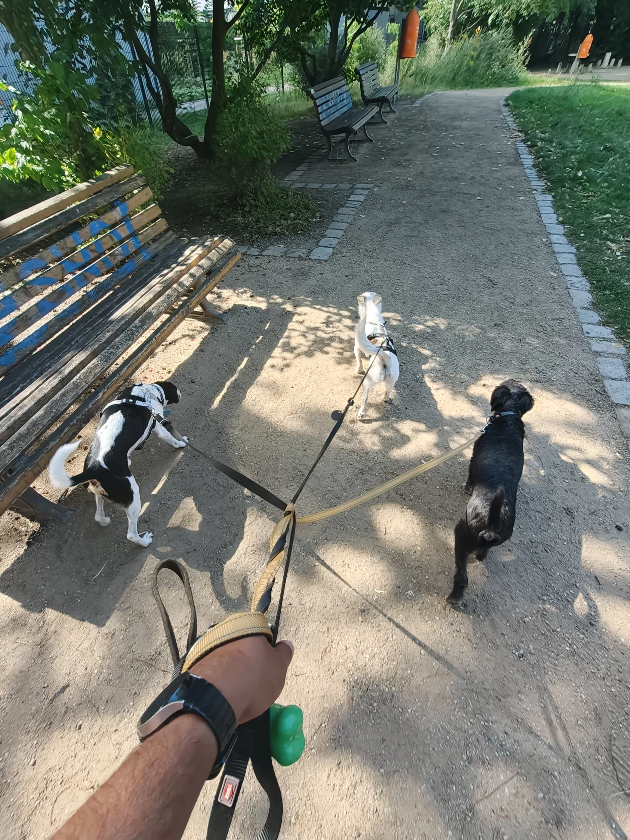 image-15