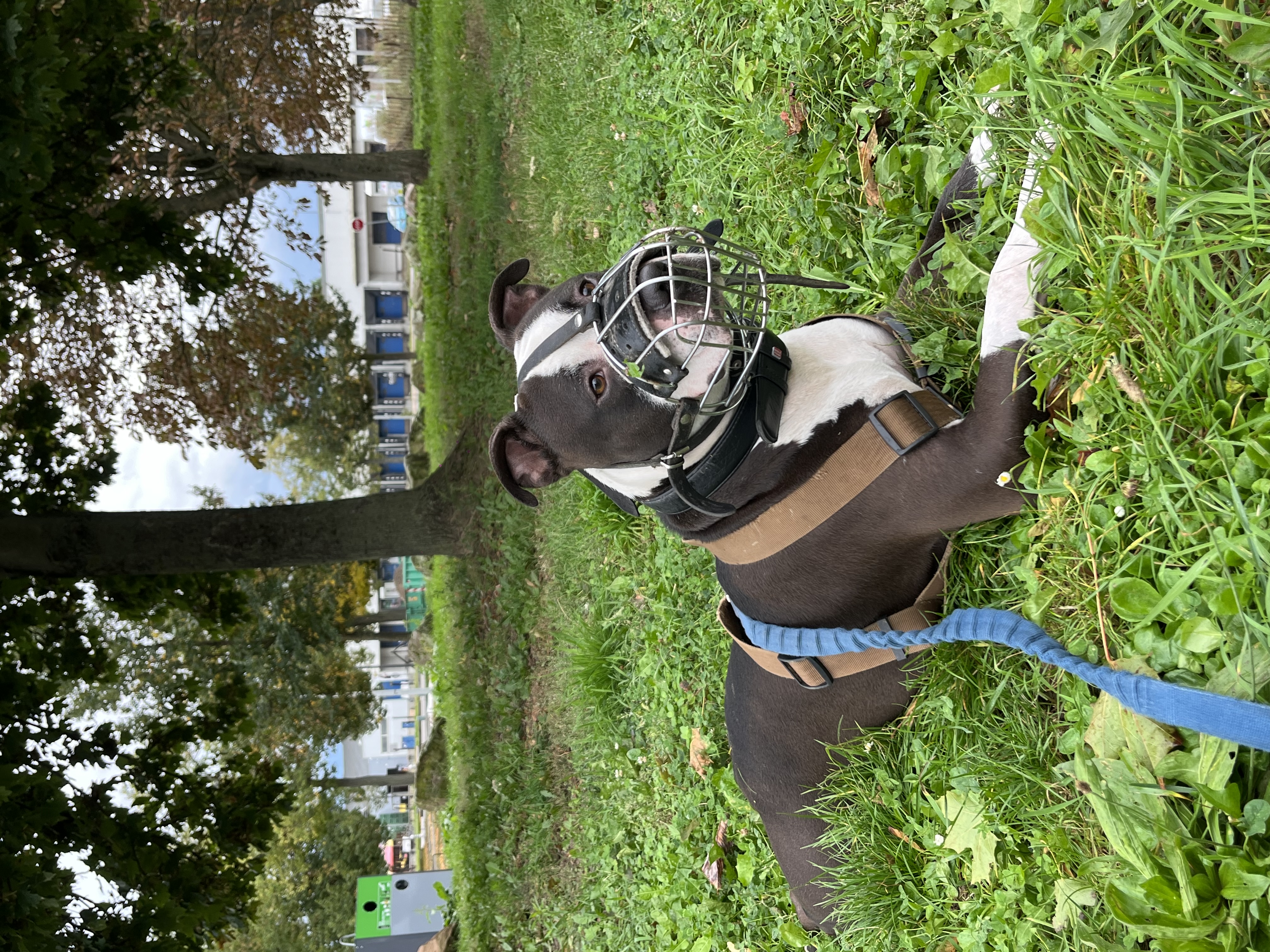 image-17
