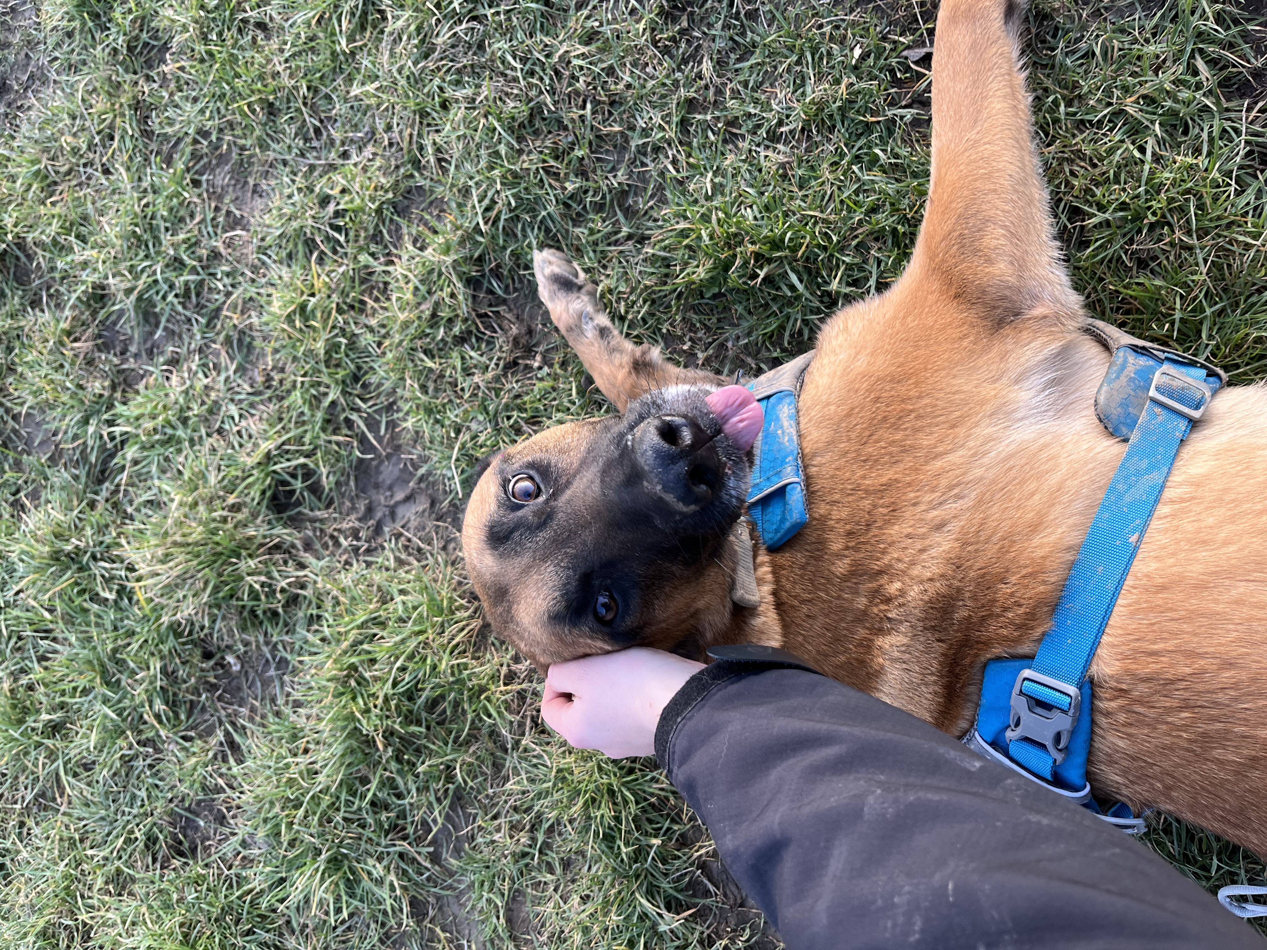 image-16
