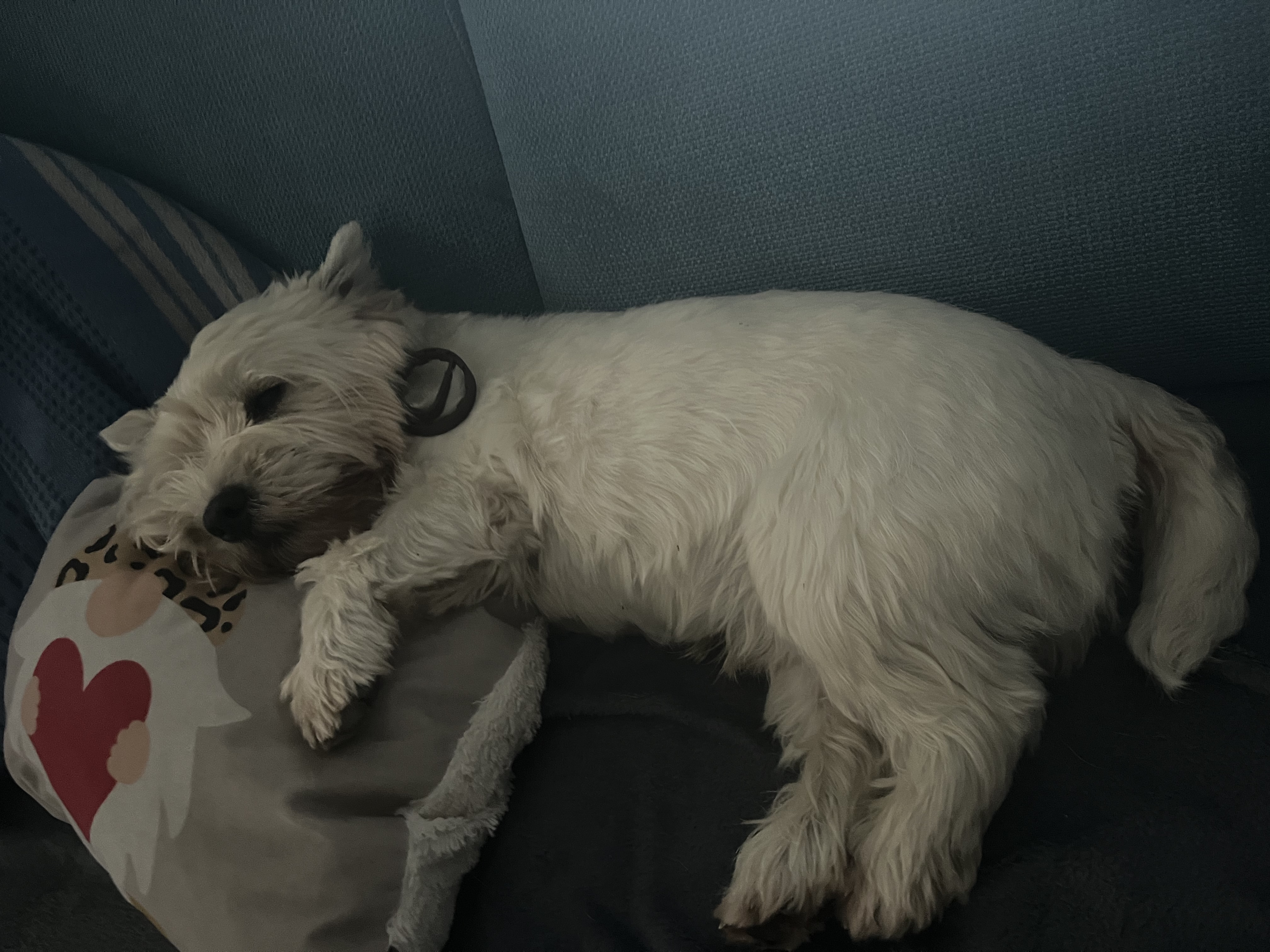 image-4
