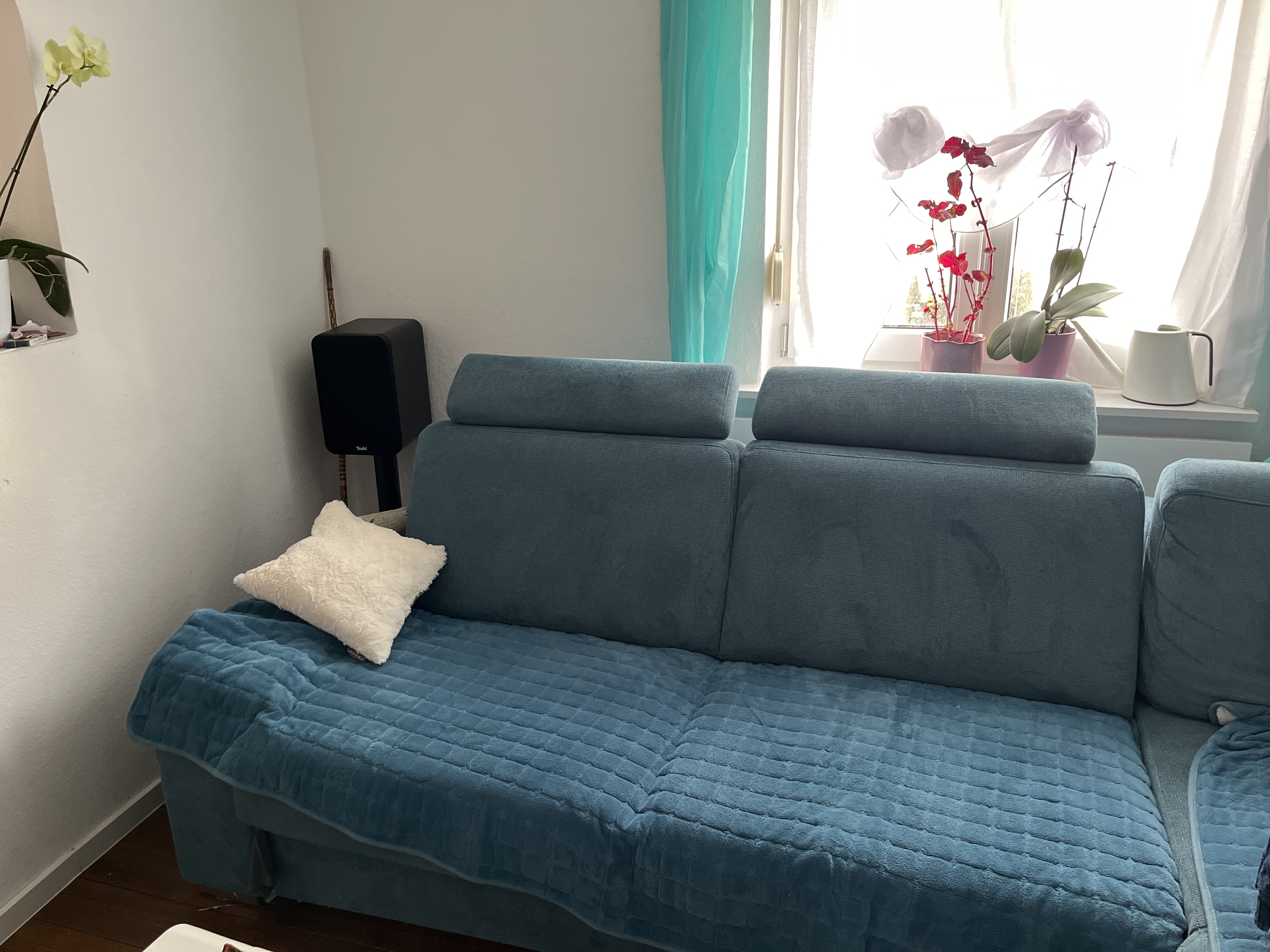 image-19
