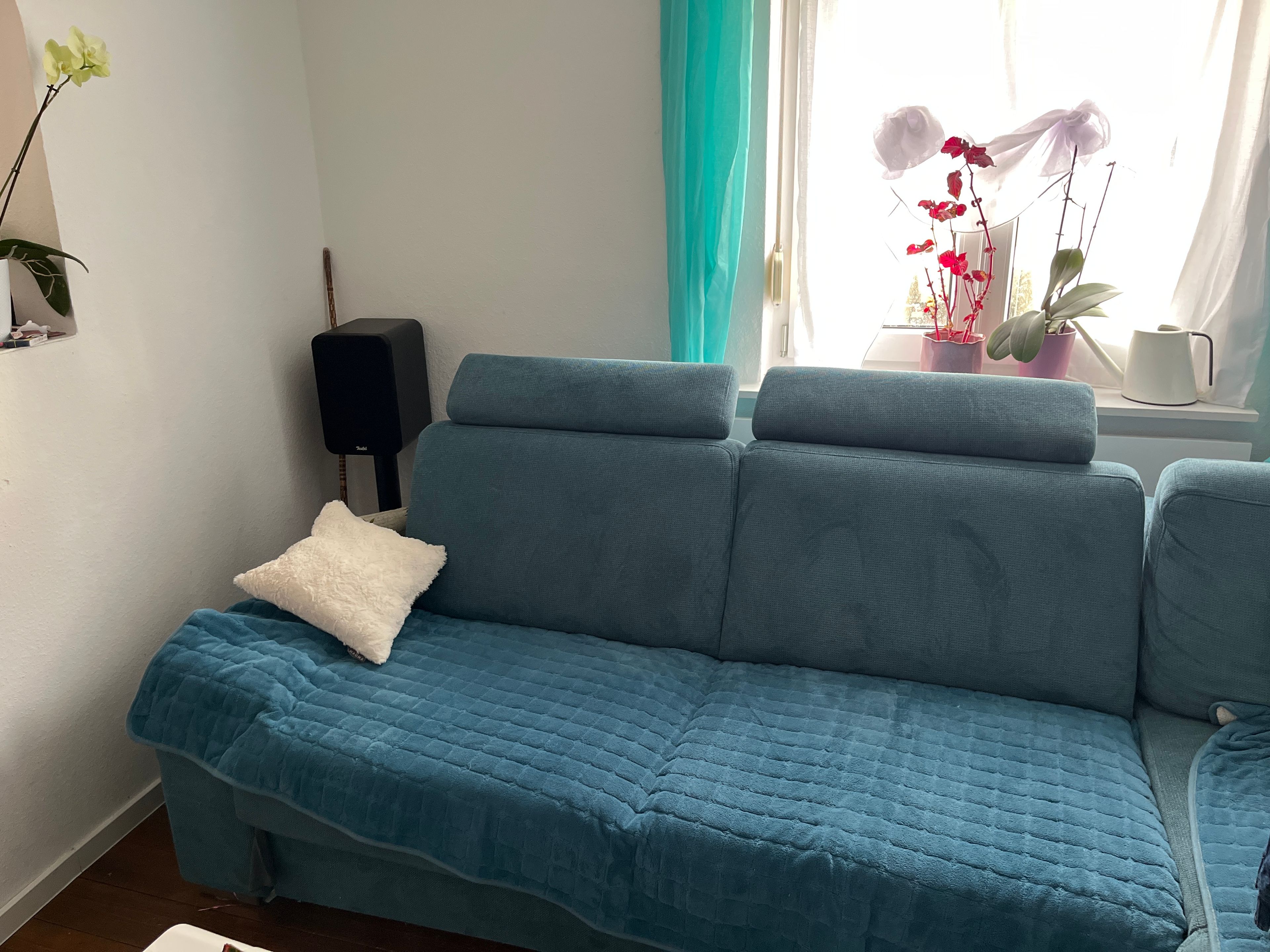 image-19