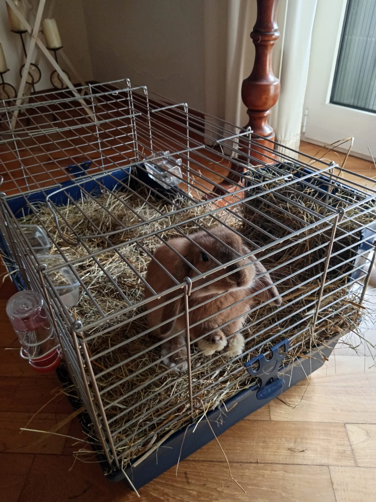 image-16