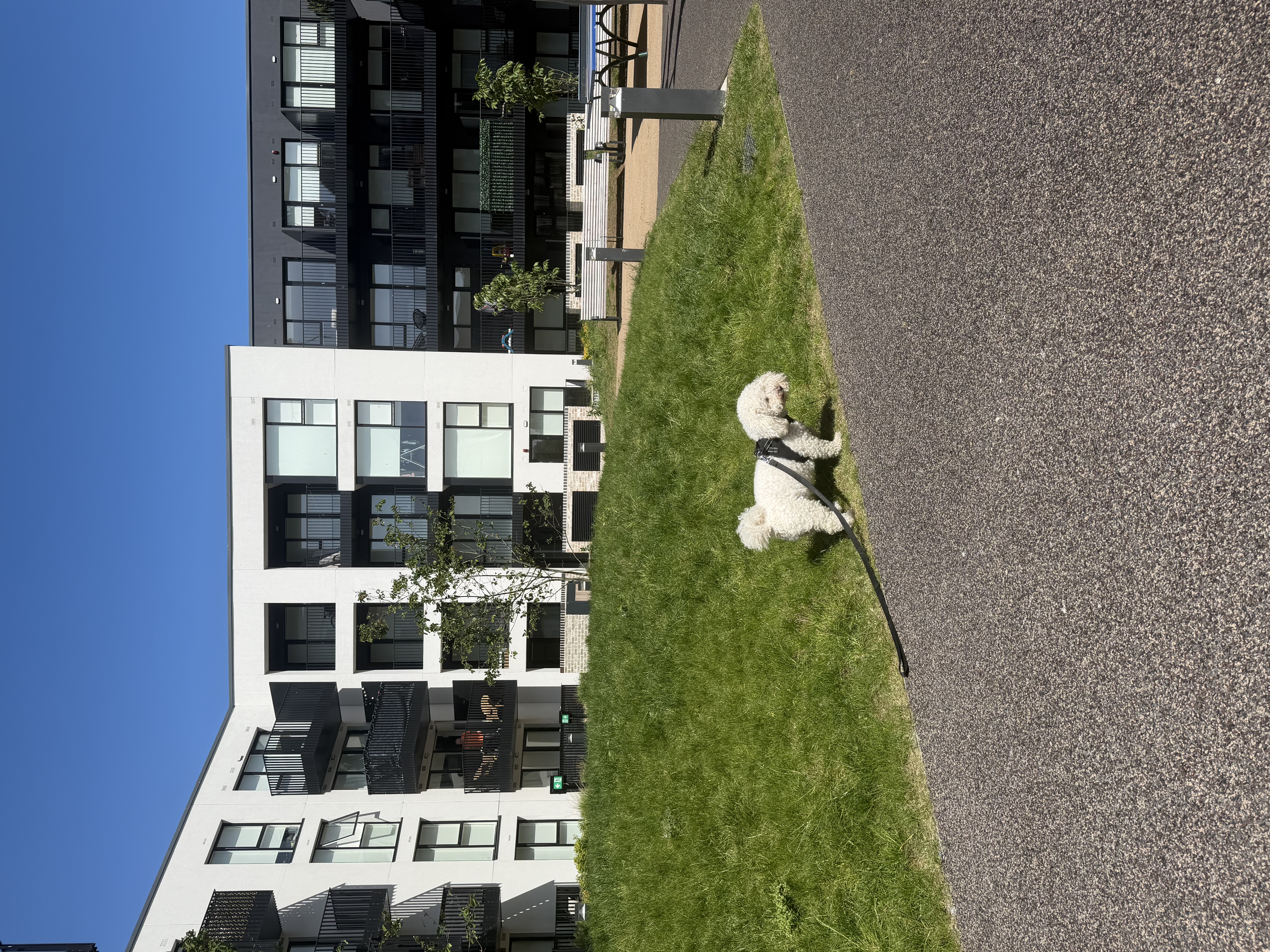 image-16