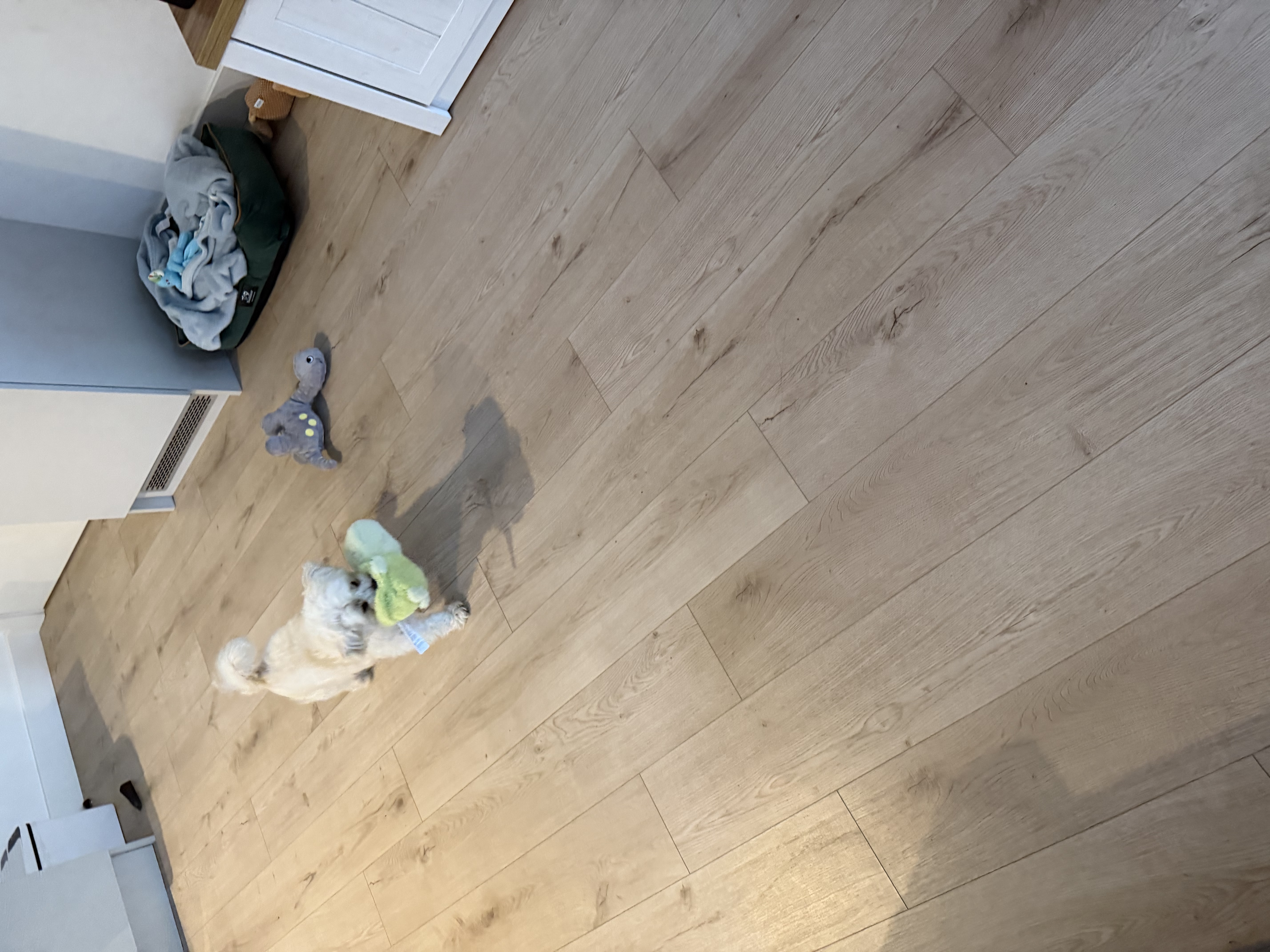 image-19