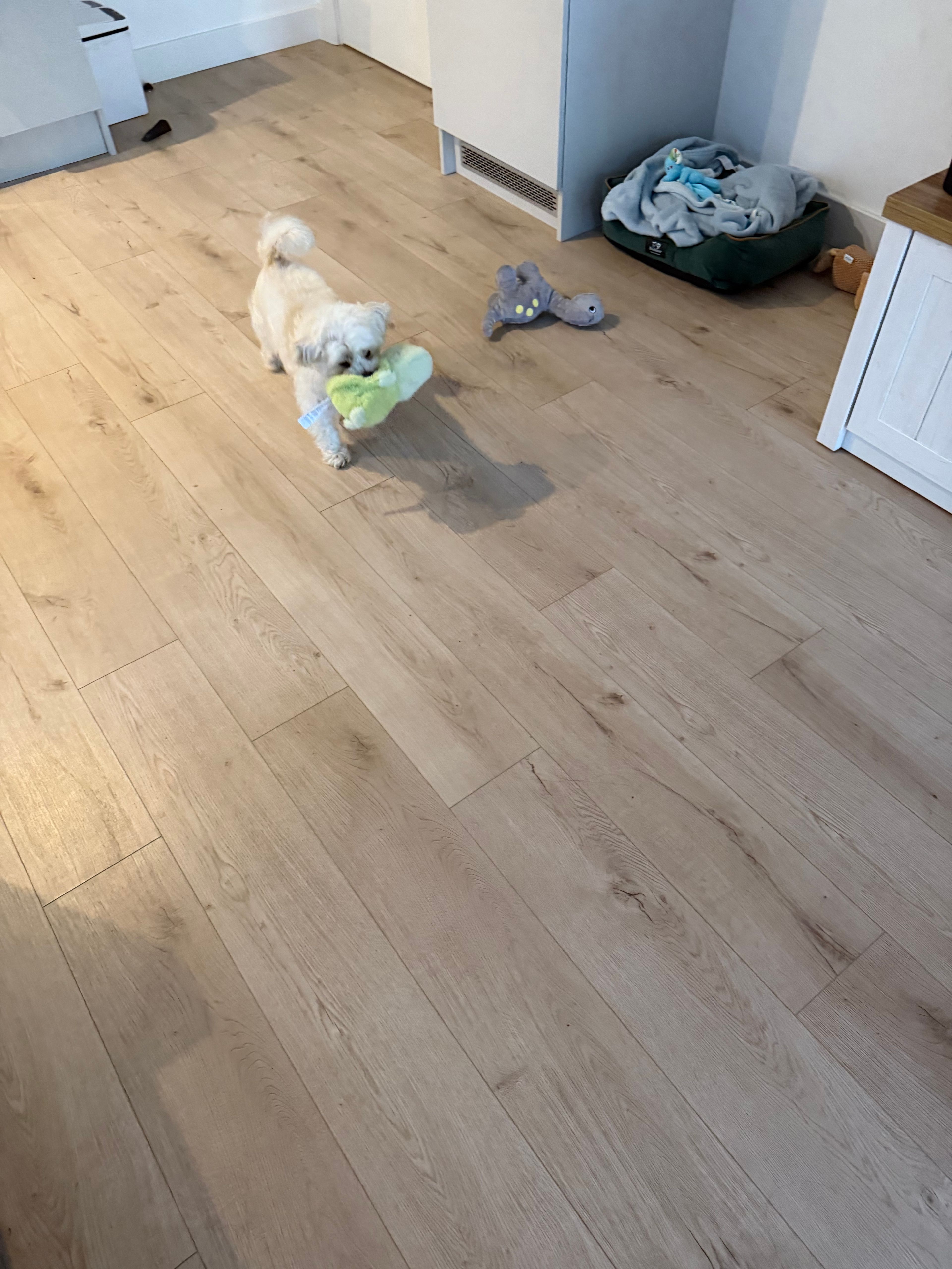image-19