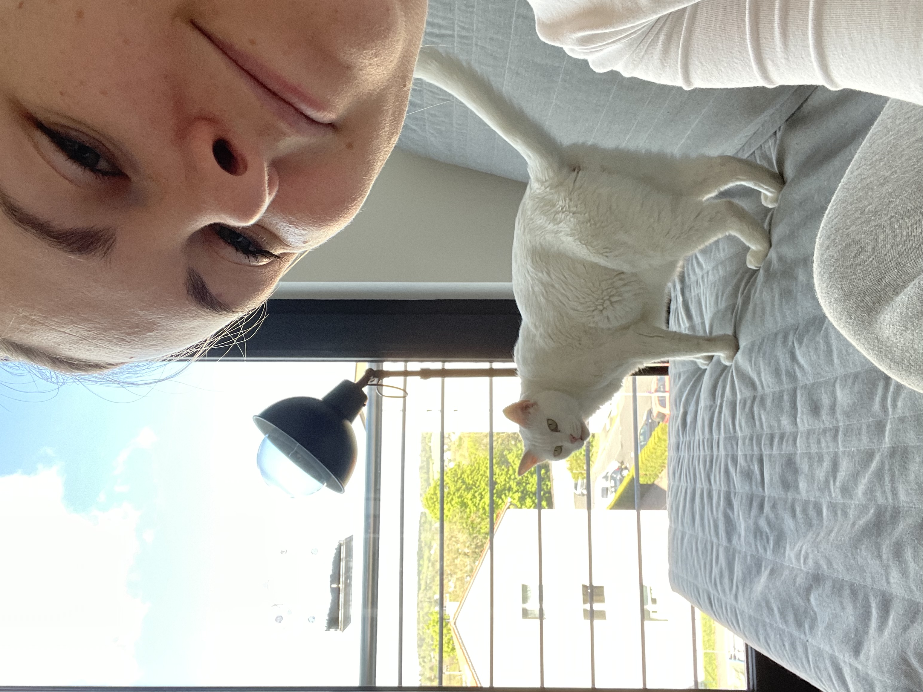 image-8