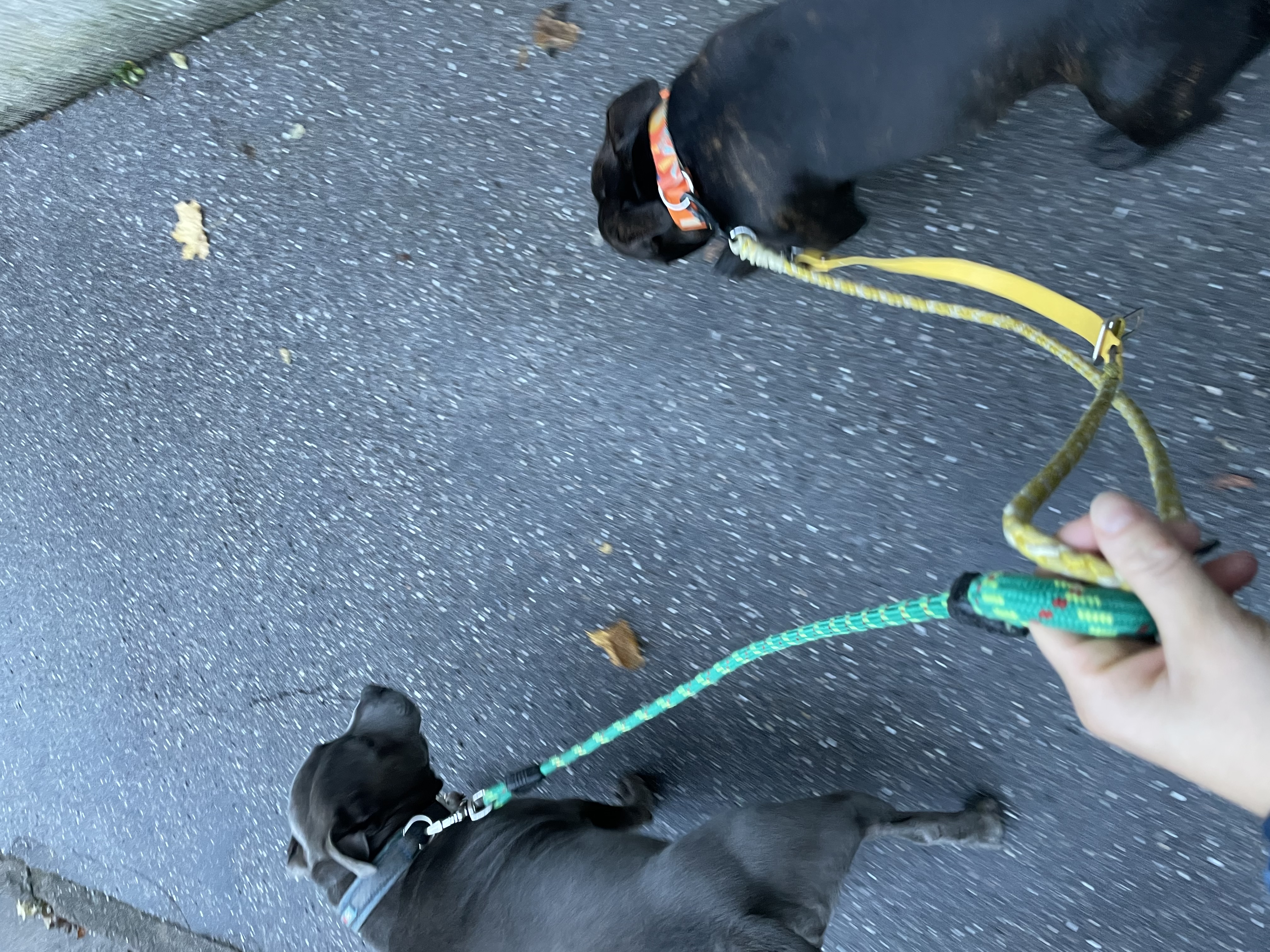 image-14