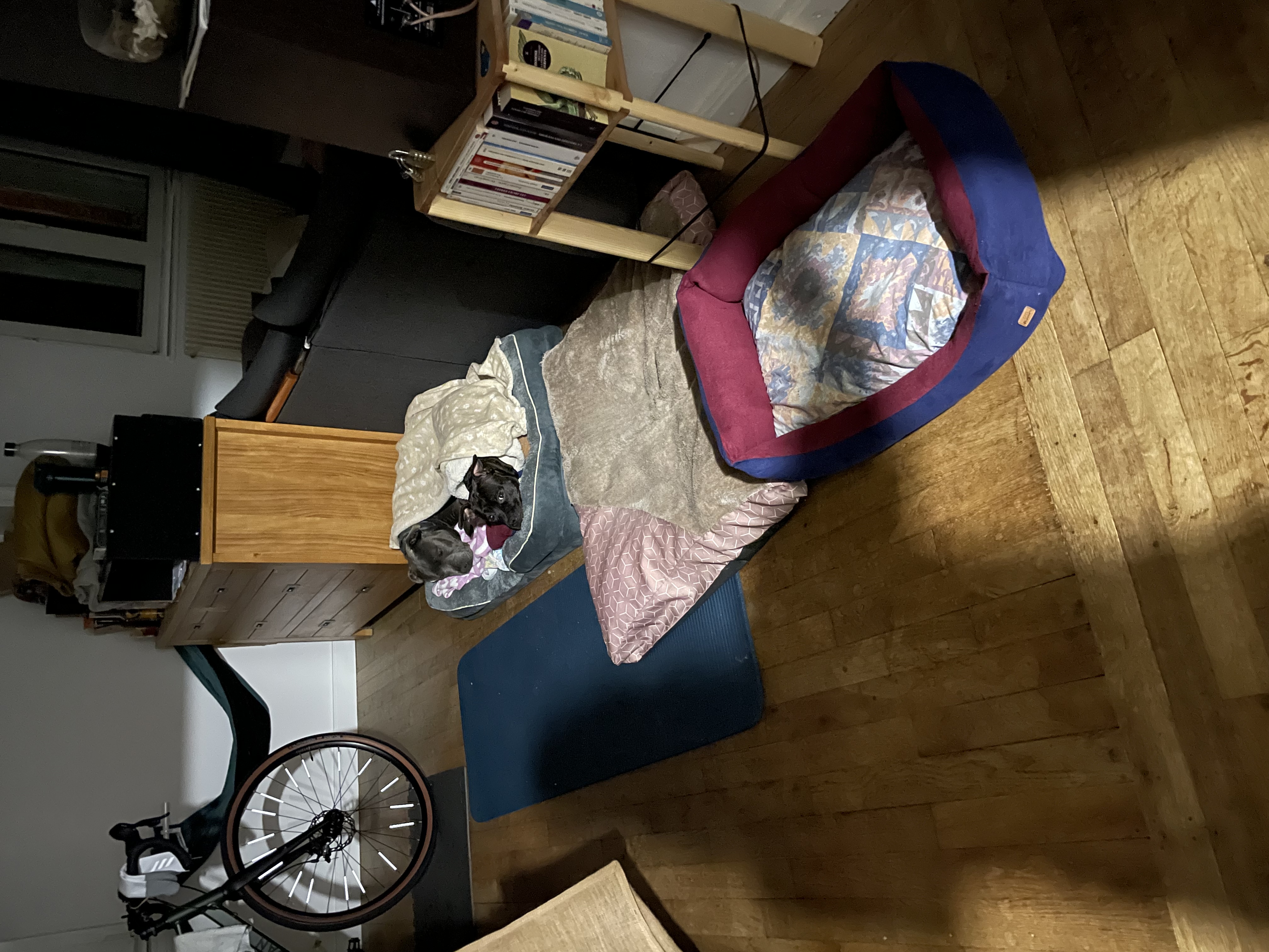 image-16