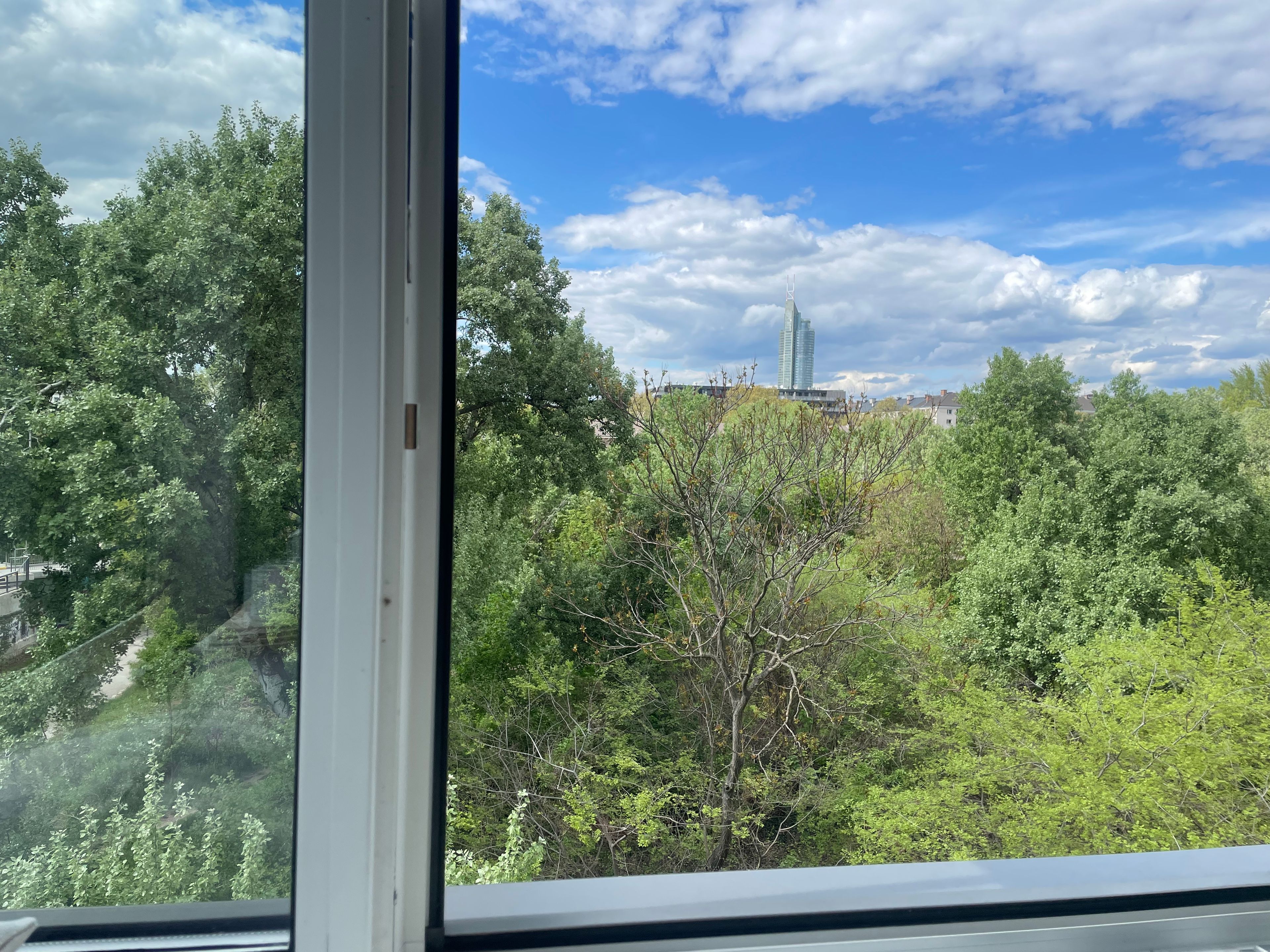 image-14