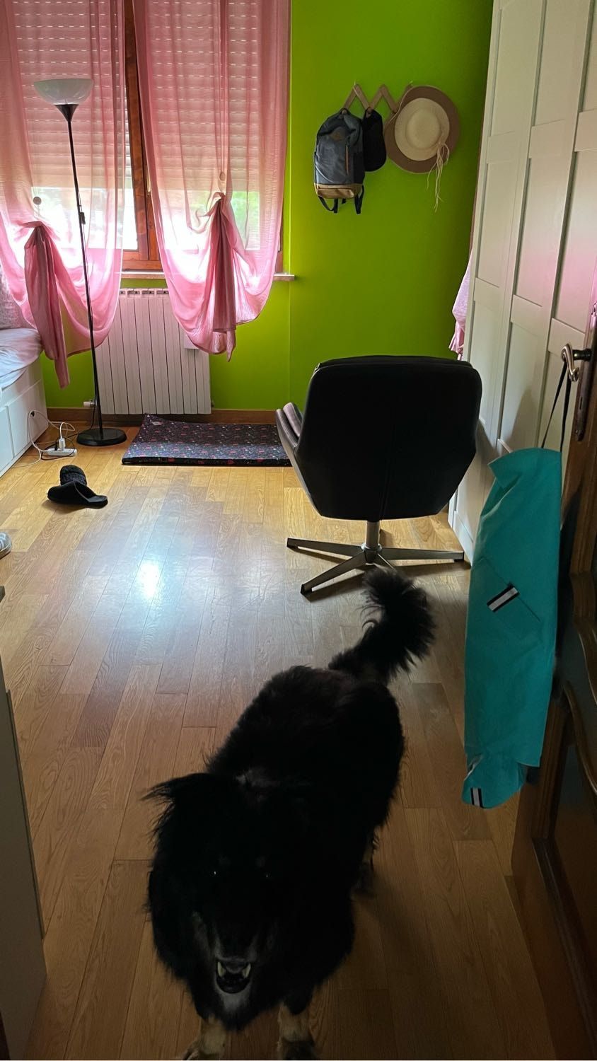 image-7