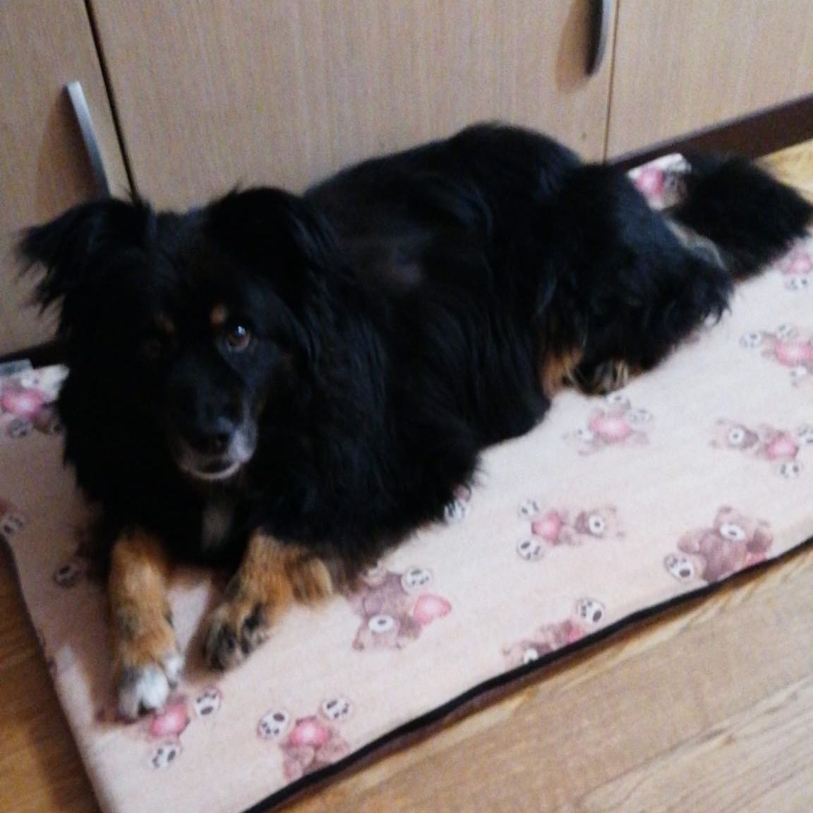 Leopoldo