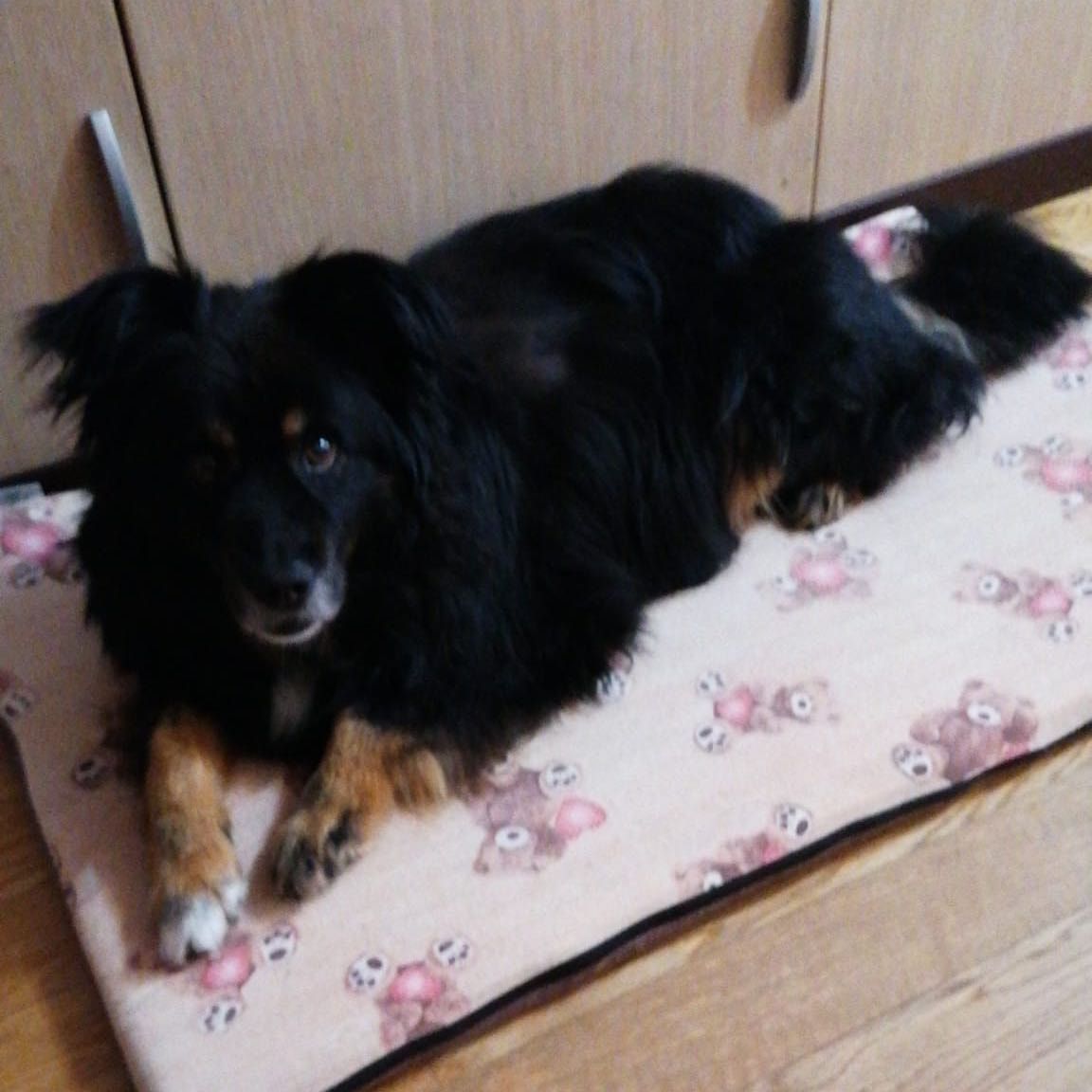 Leopoldo
