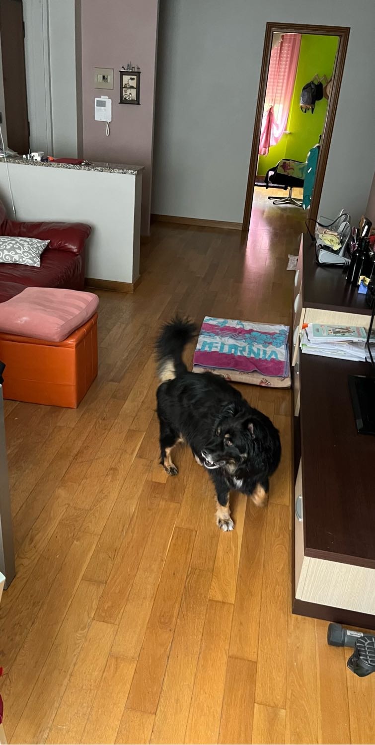 image-8