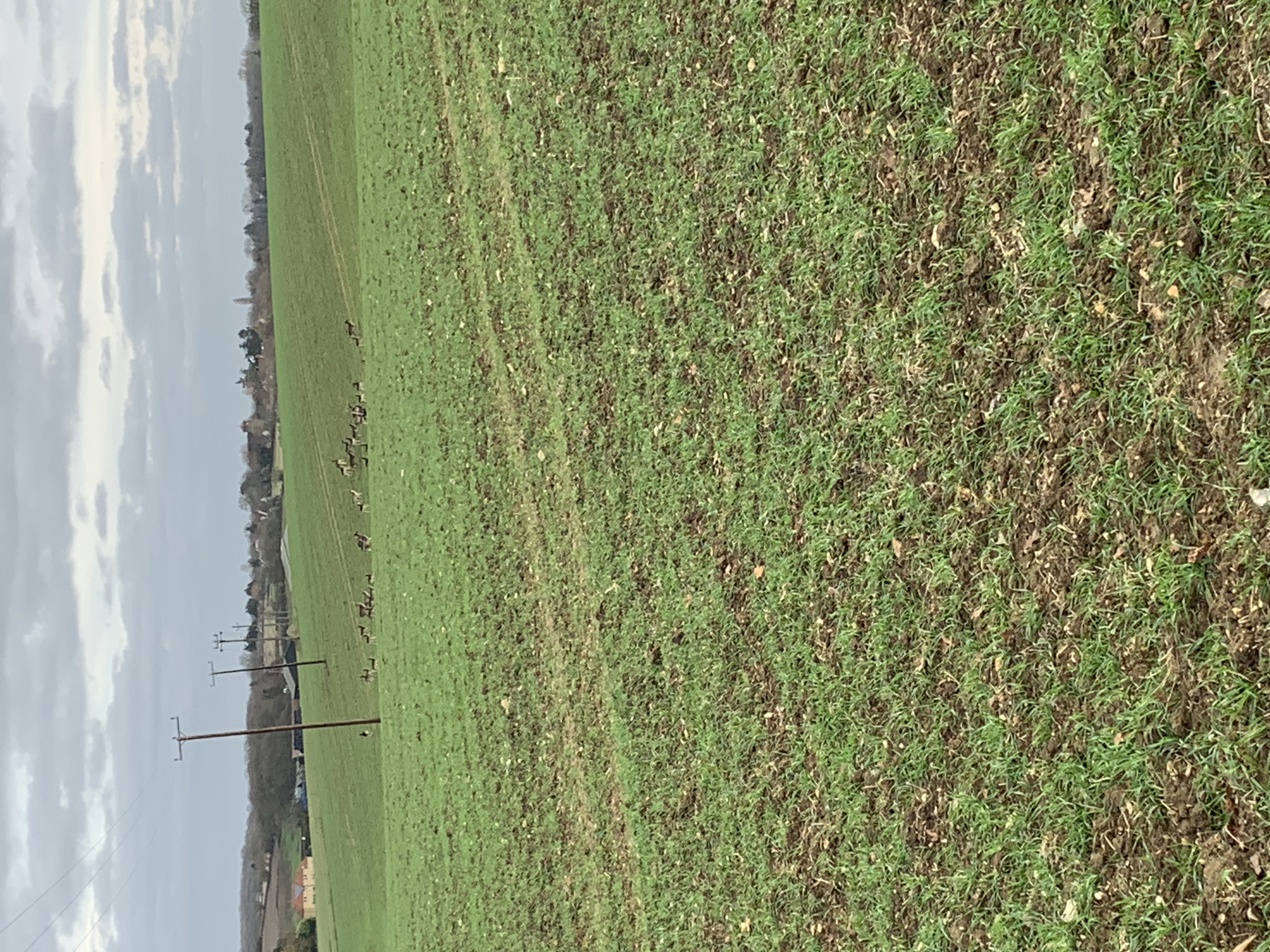 image-16