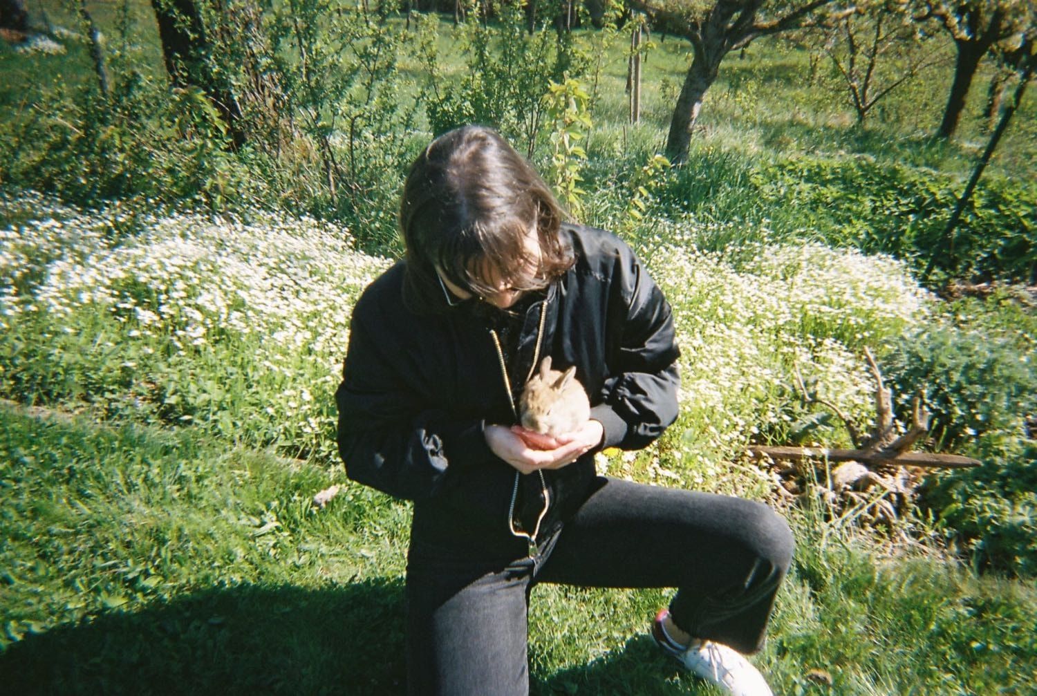 image-4