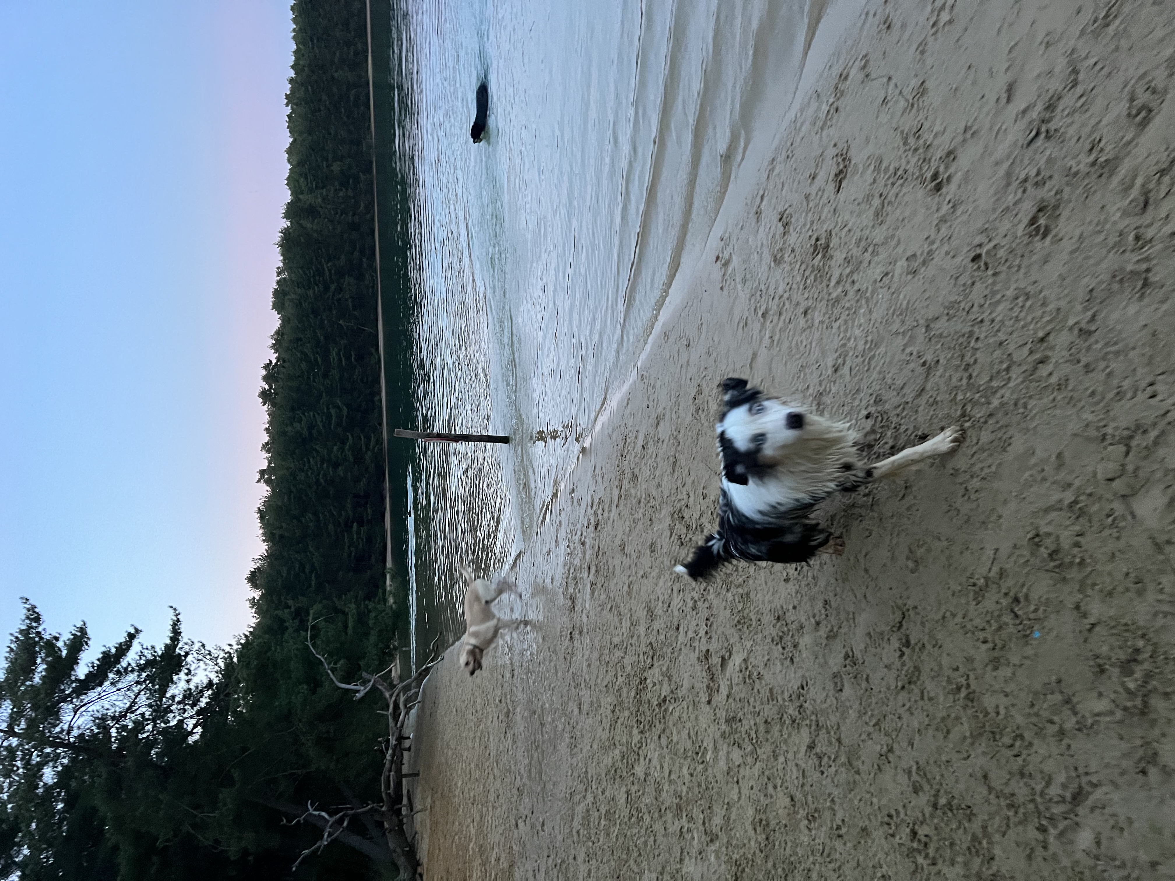image-9
