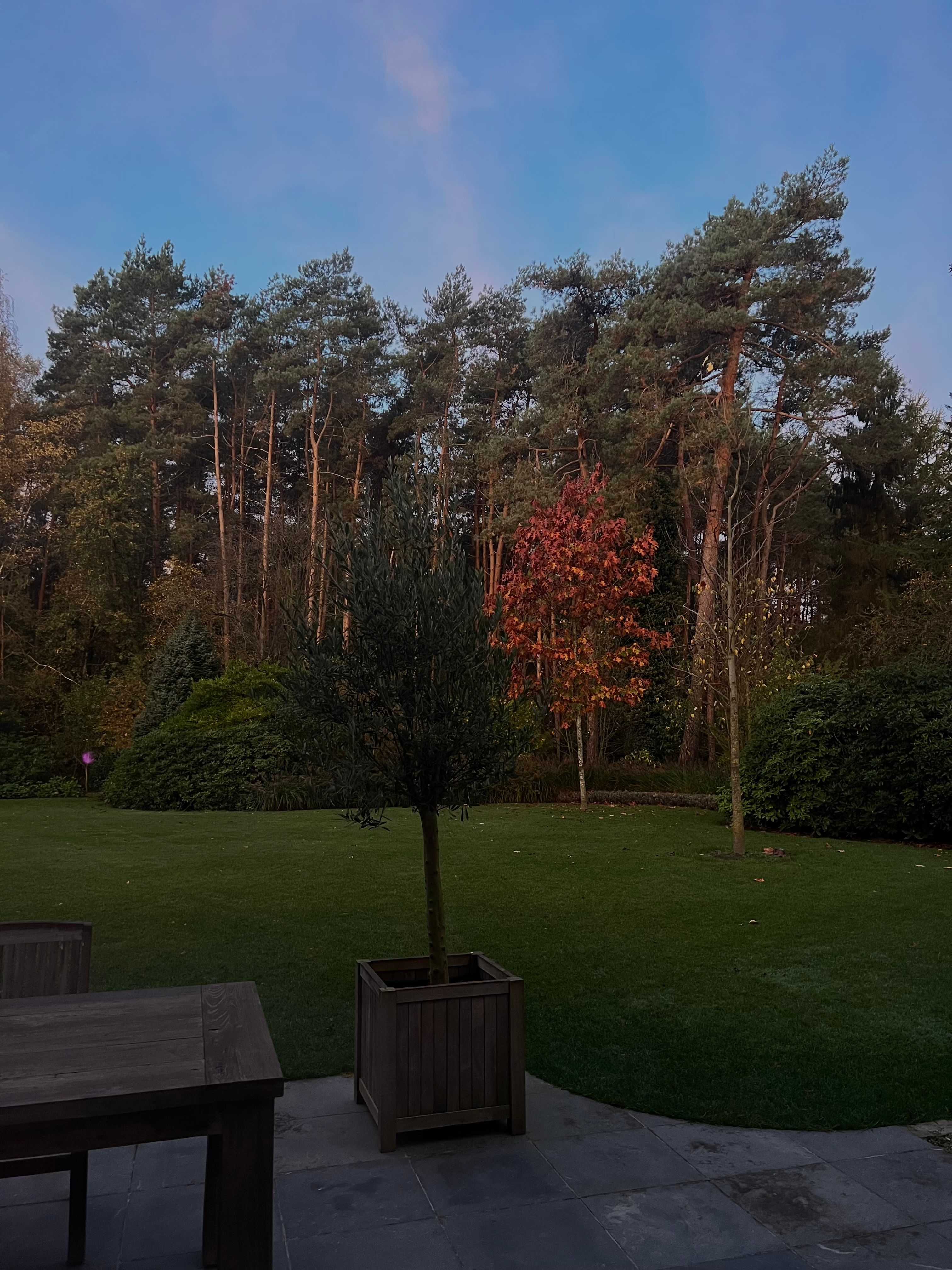 image-20