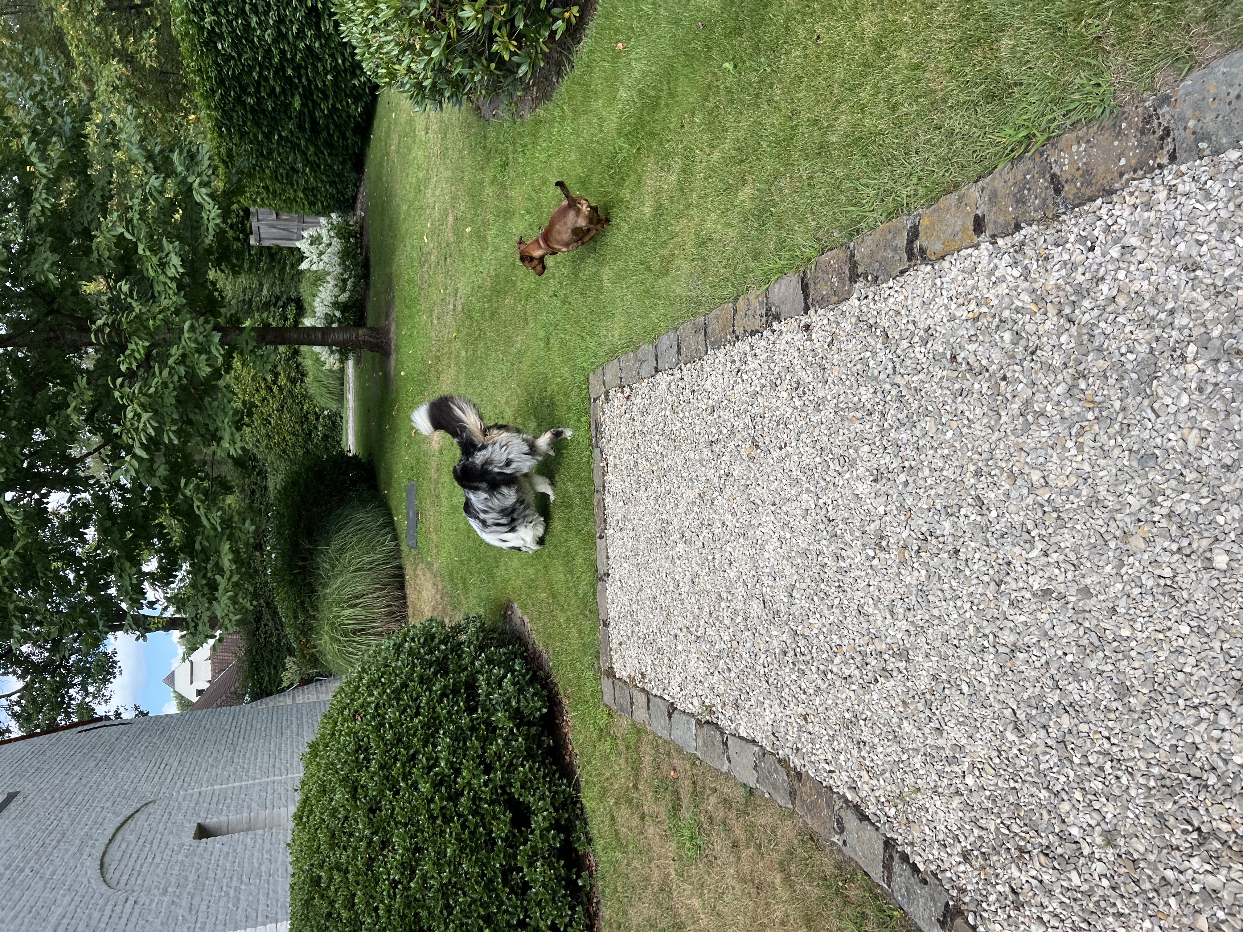 image-16