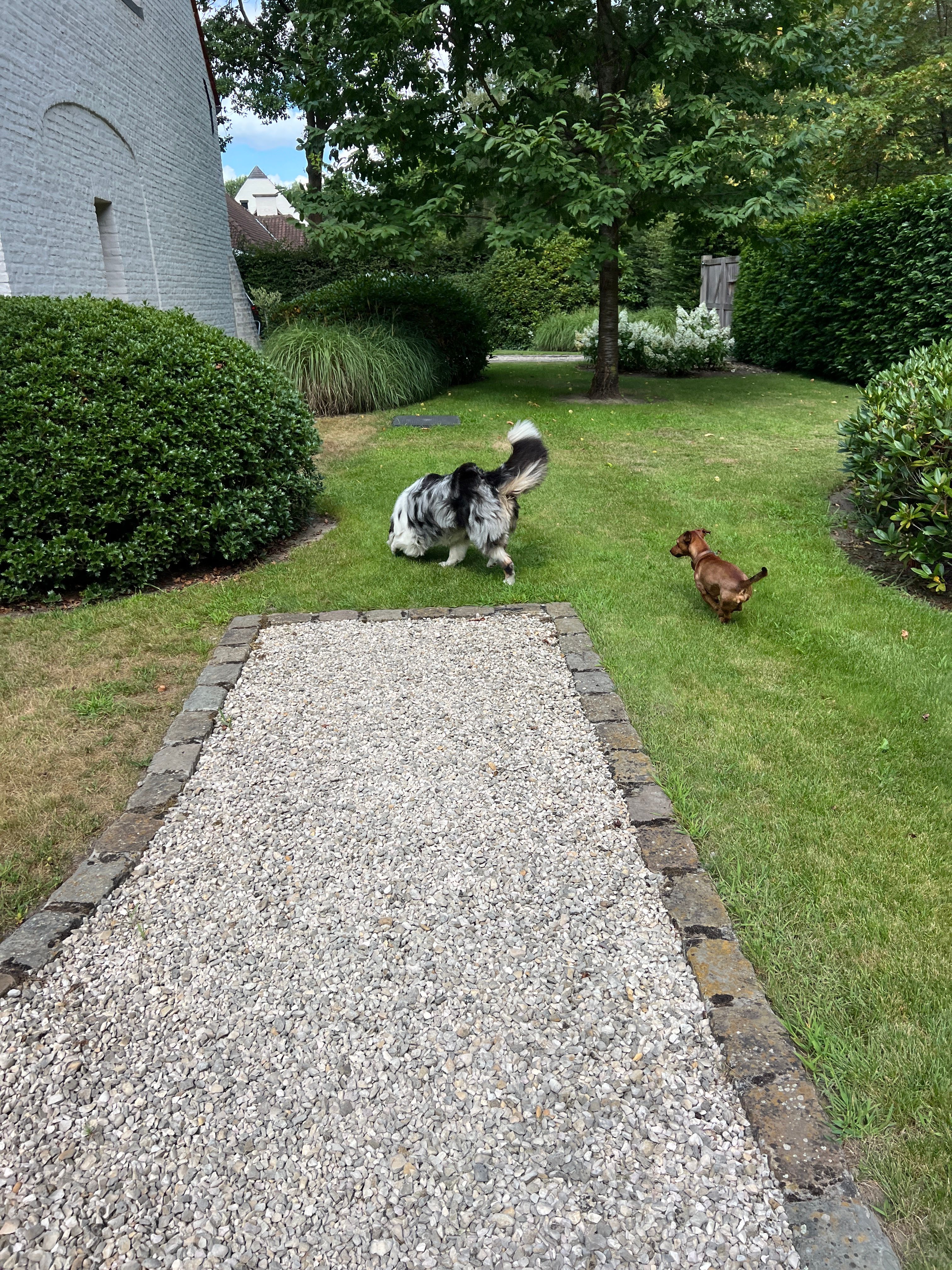 image-16