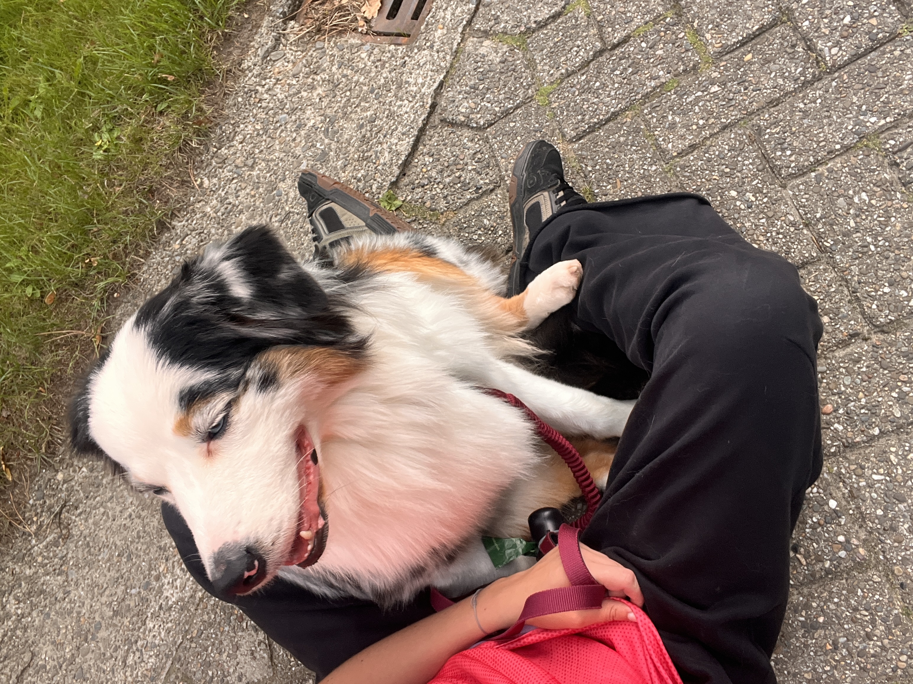 image-12