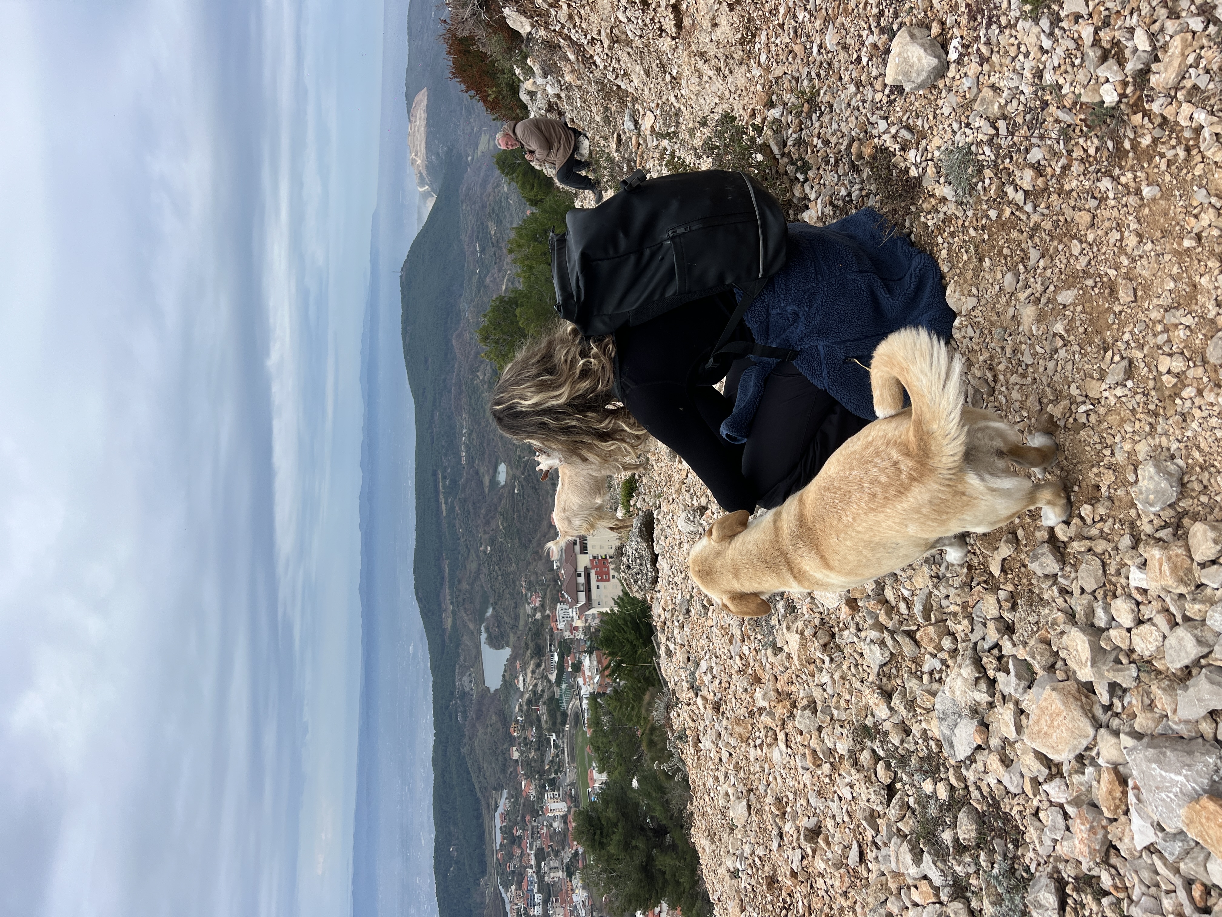 image-2